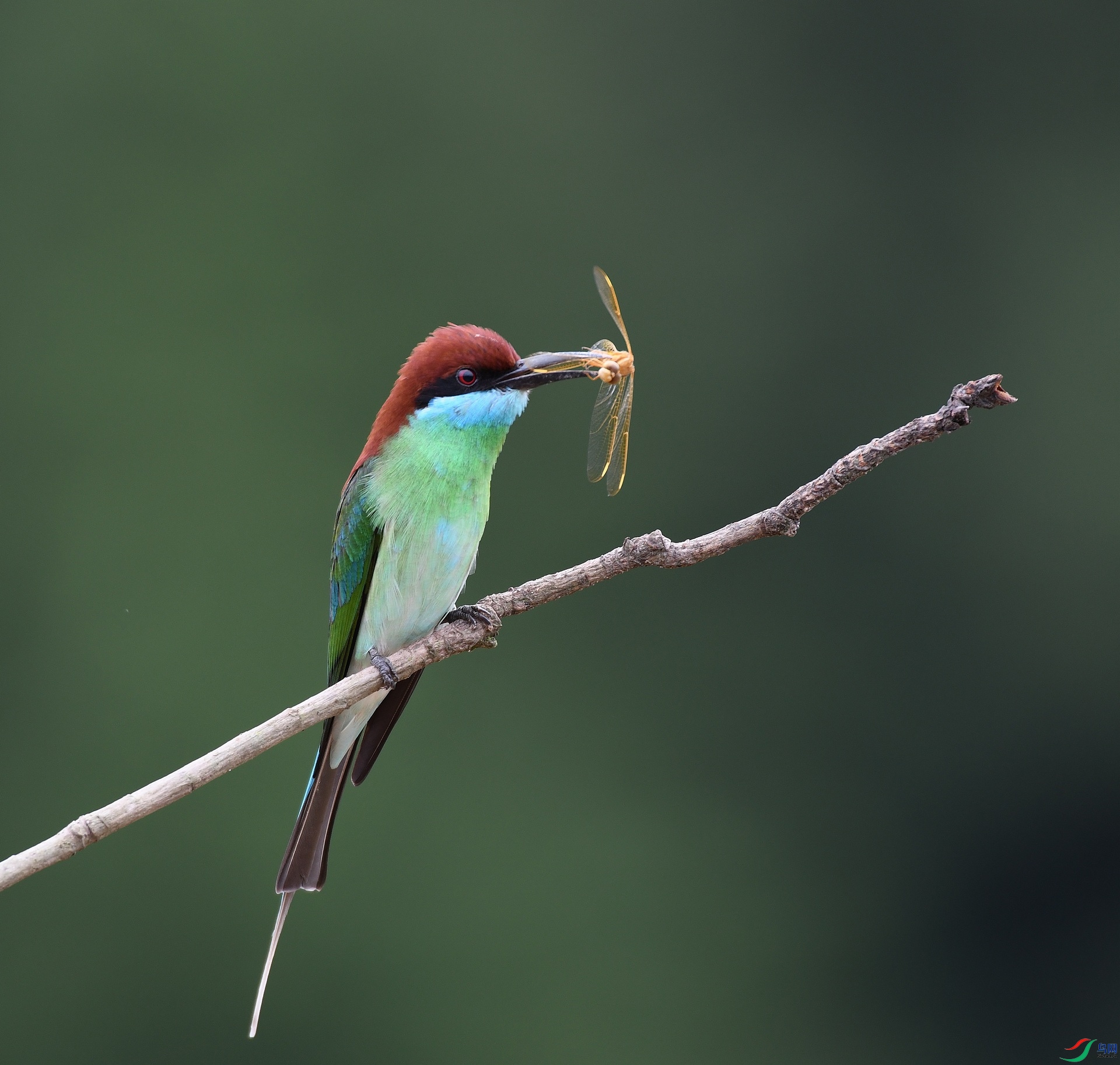 DSC_5706.jpg