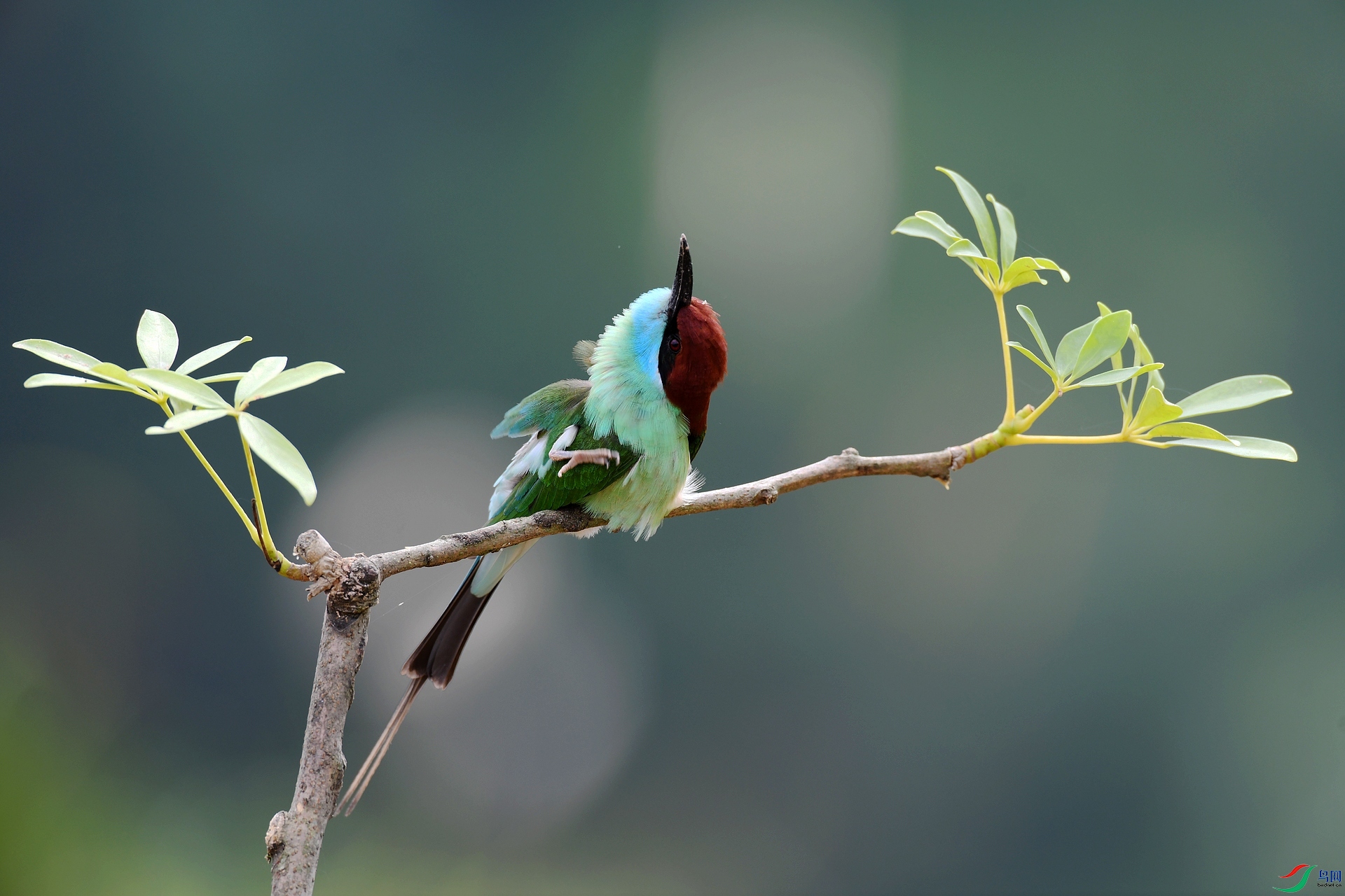 DSC_4414.jpg