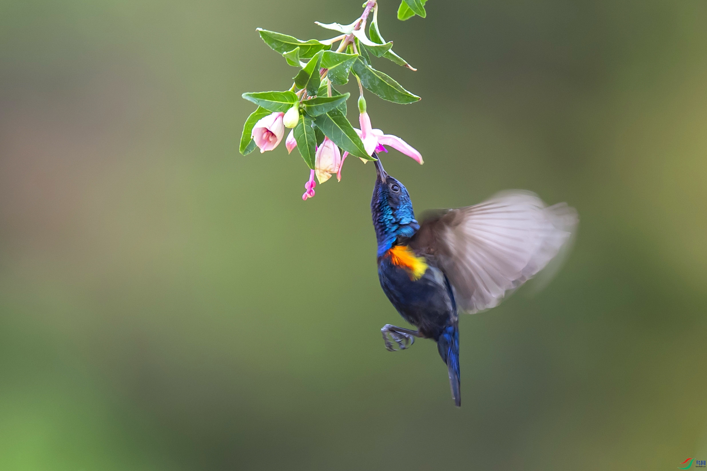 DSC_9817.jpg