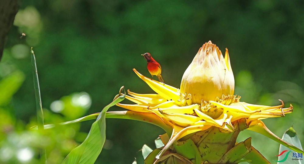 DSCF7601.1.jpg