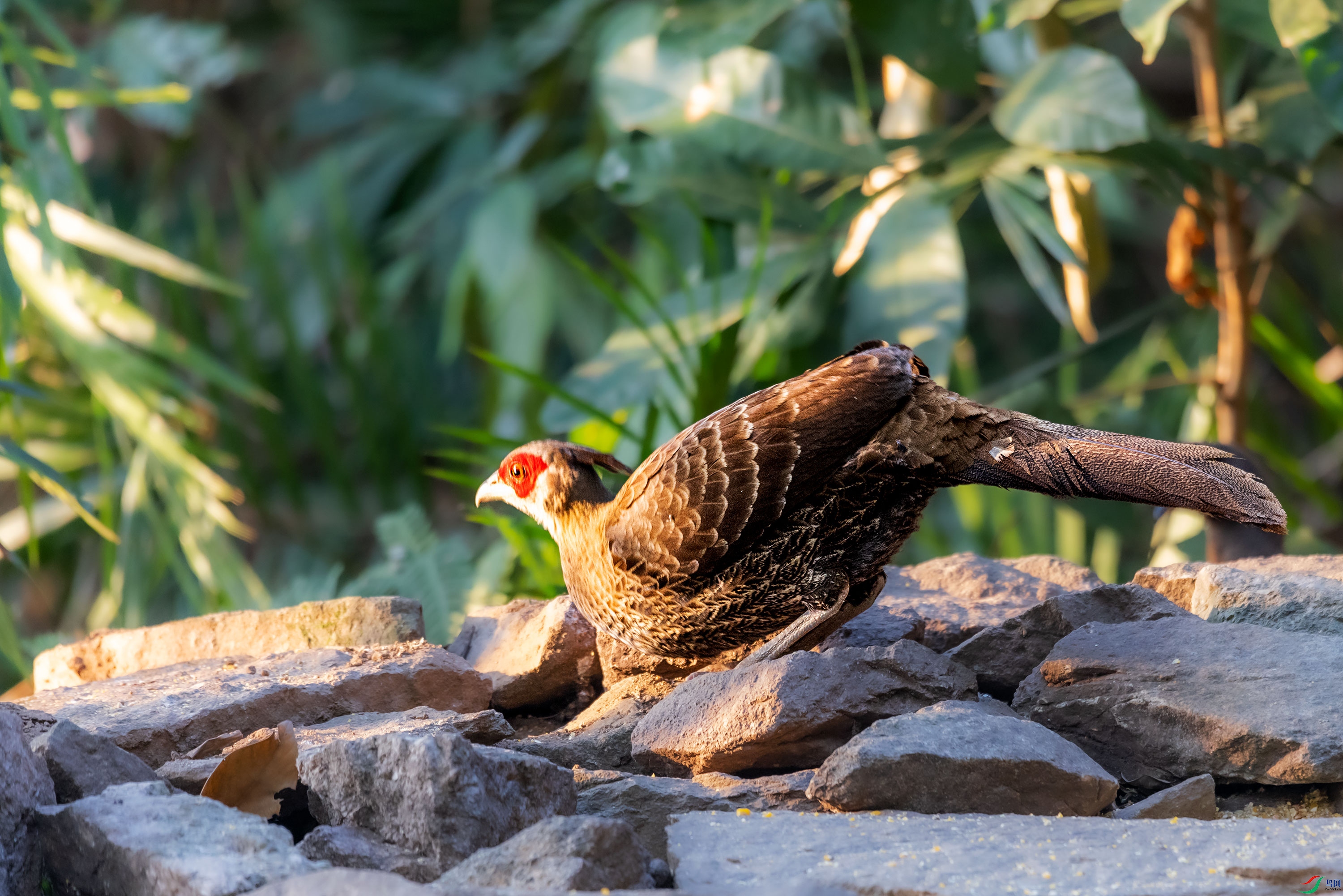 278A9434.jpg