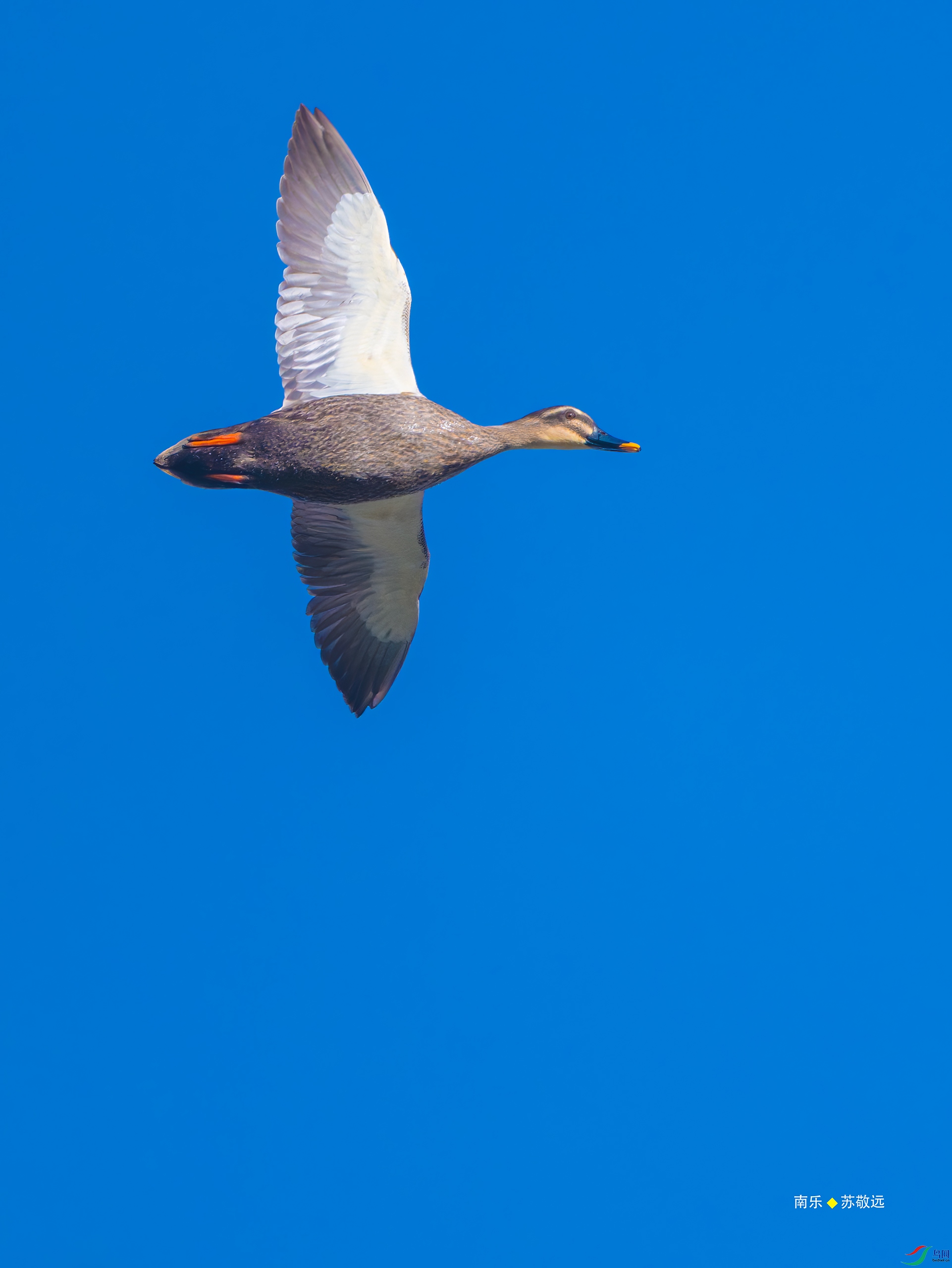 _DSC8912-DxO_С.jpg