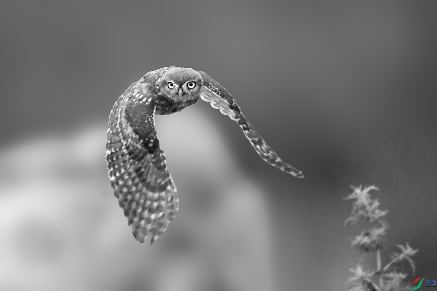 AQ9I2378 ����.jpg