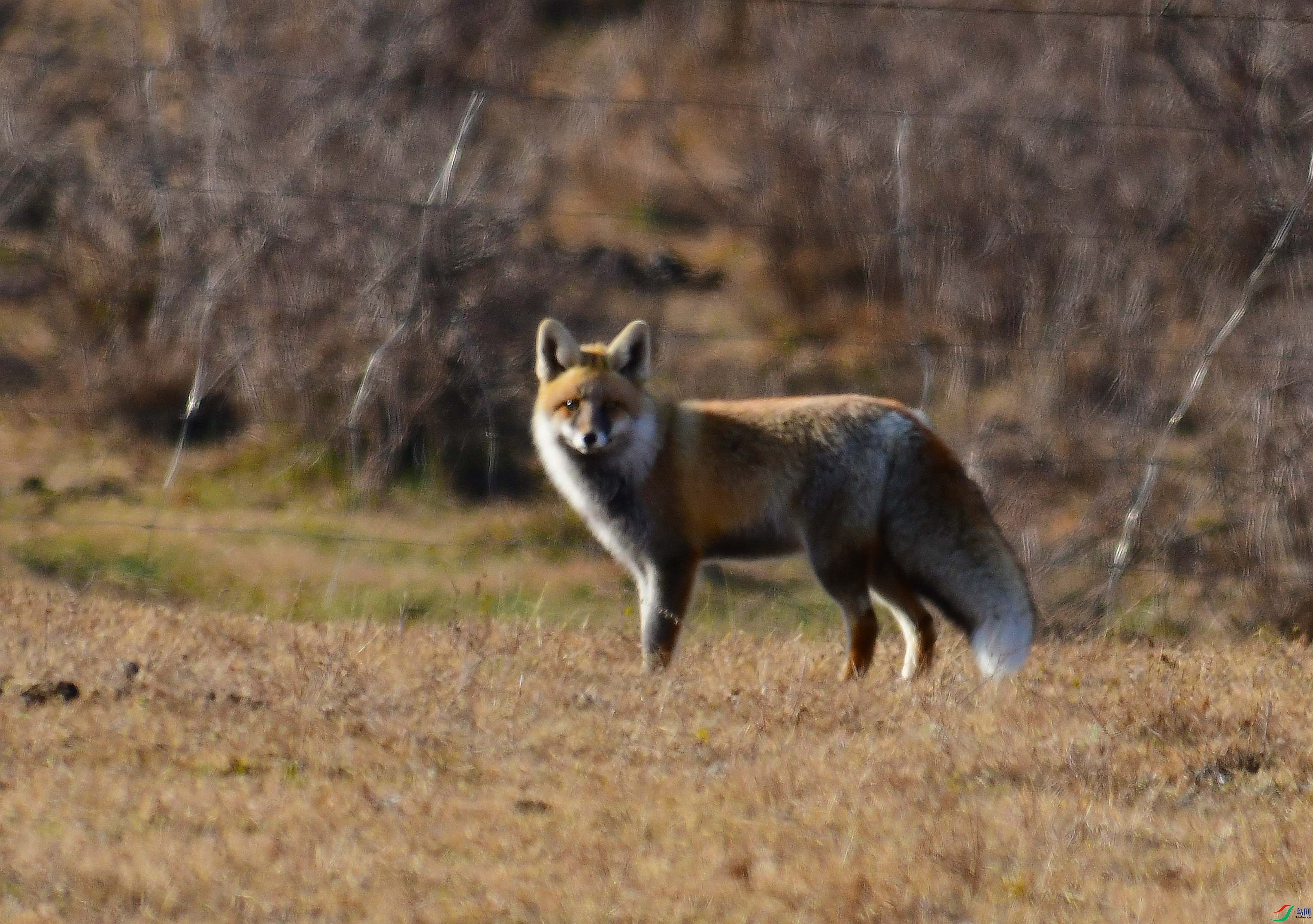 DSC_3220.JPG