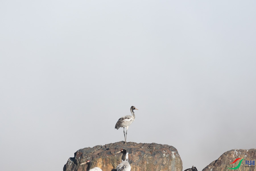 0B0A6929.jpg