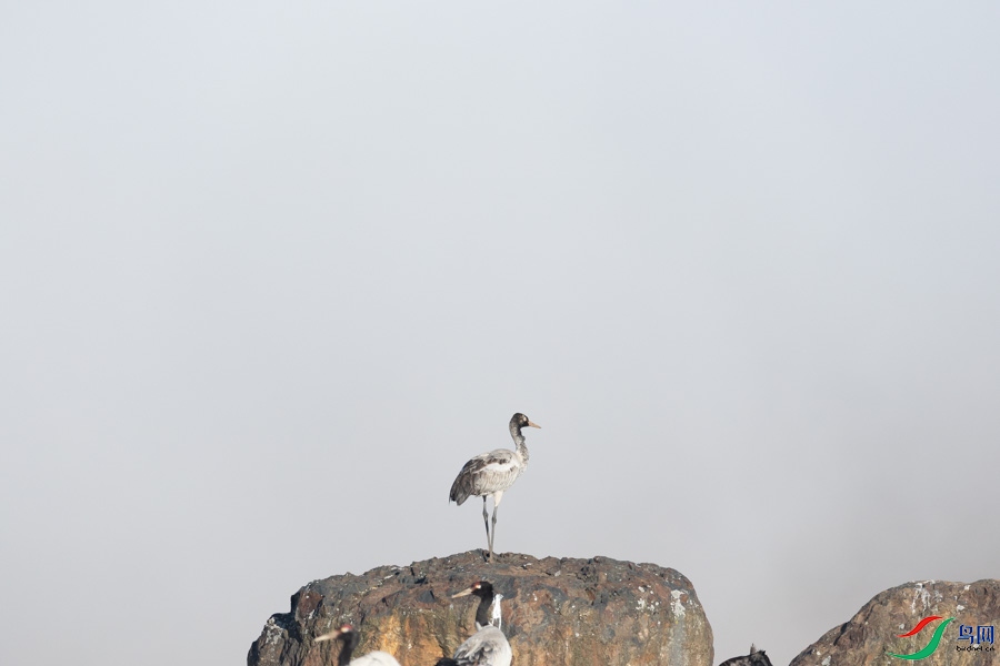 0B0A6928.jpg