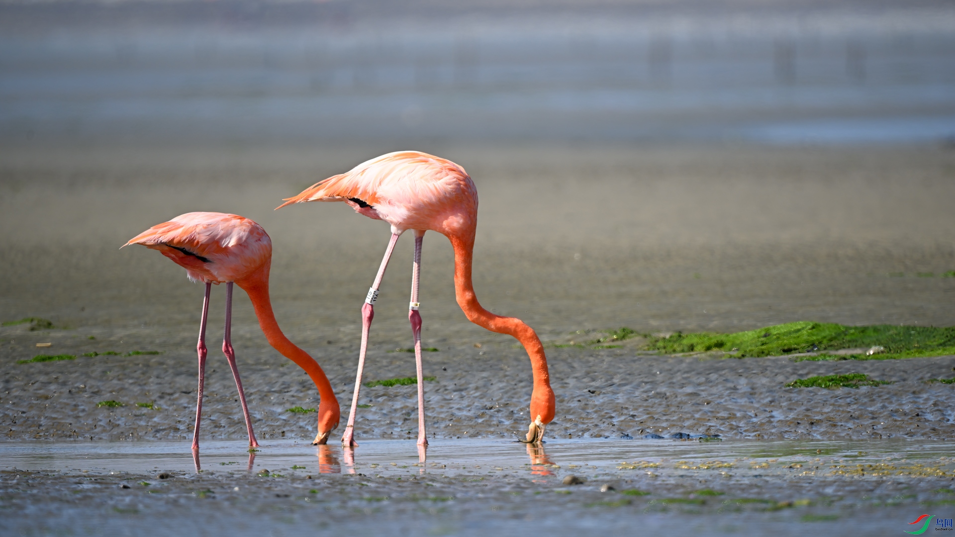 DSC_5554sen2025-2-1-31-�༭.jpg