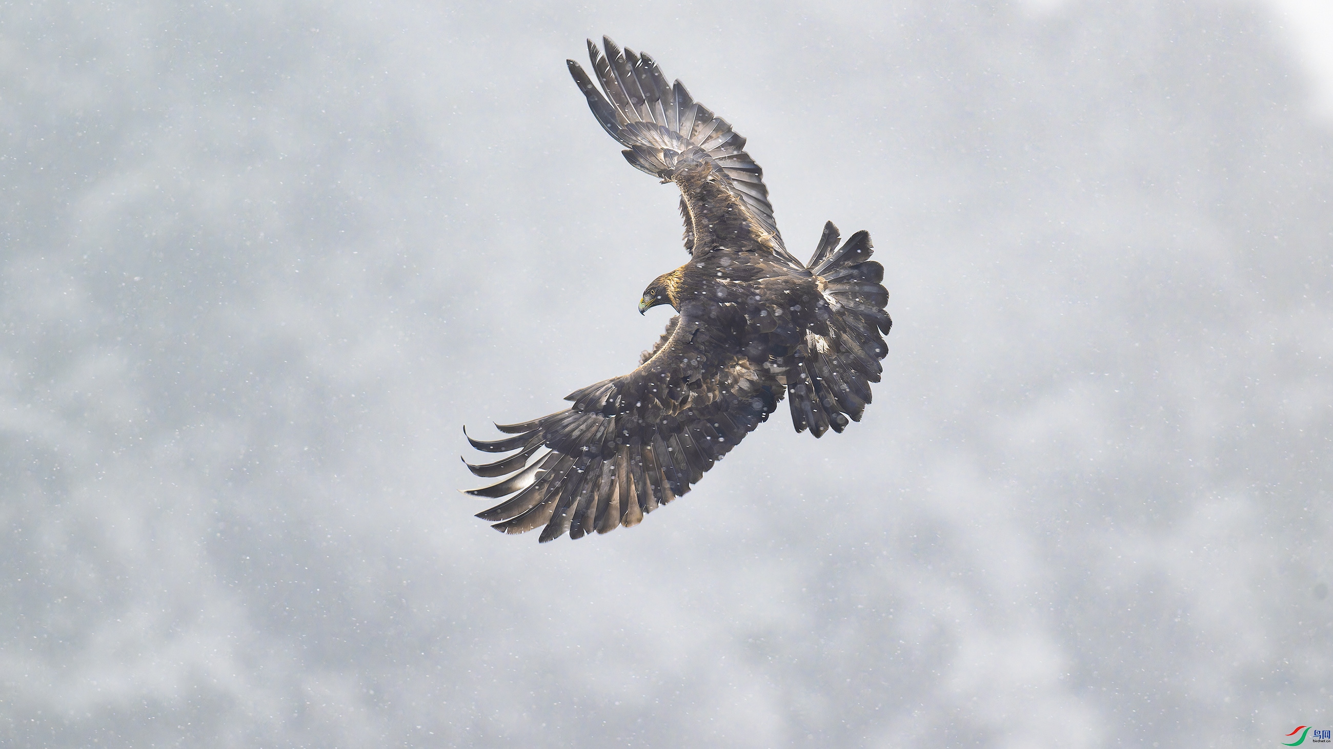 DSC_5771_DxO.jpg