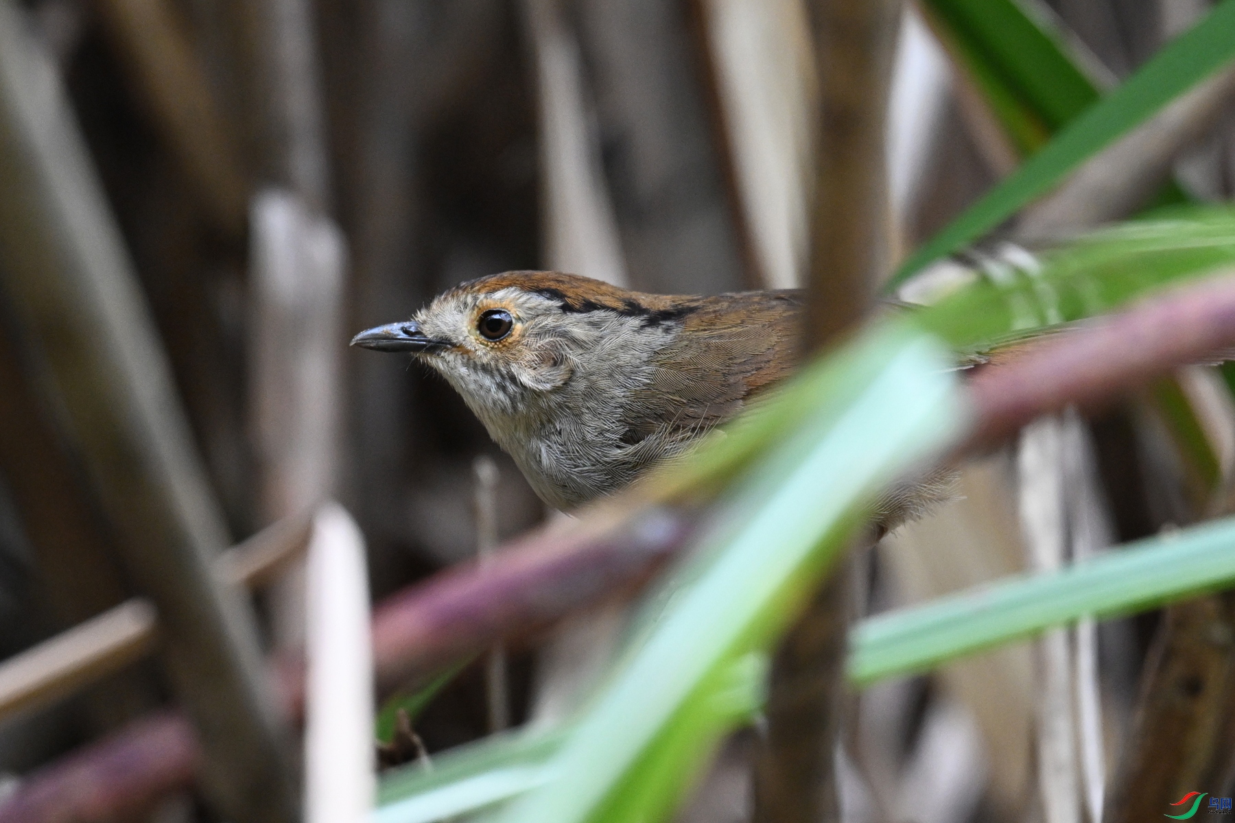 DSC_0319.JPG