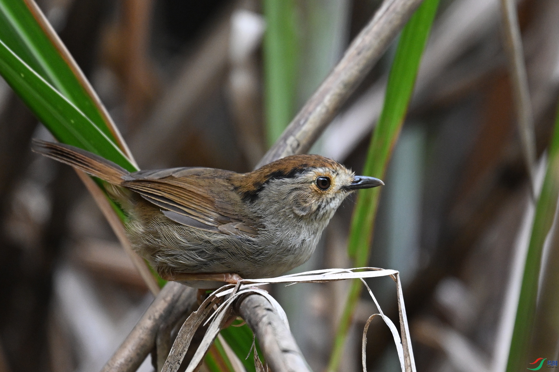 DSC_0349.JPG