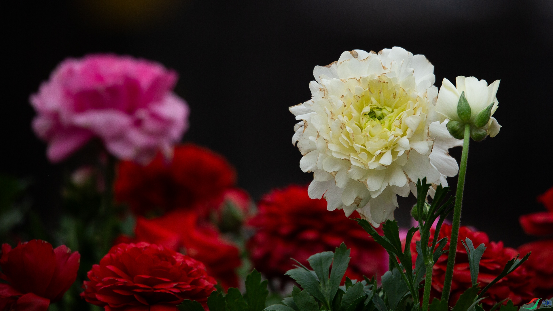 A48Z5980.jpg