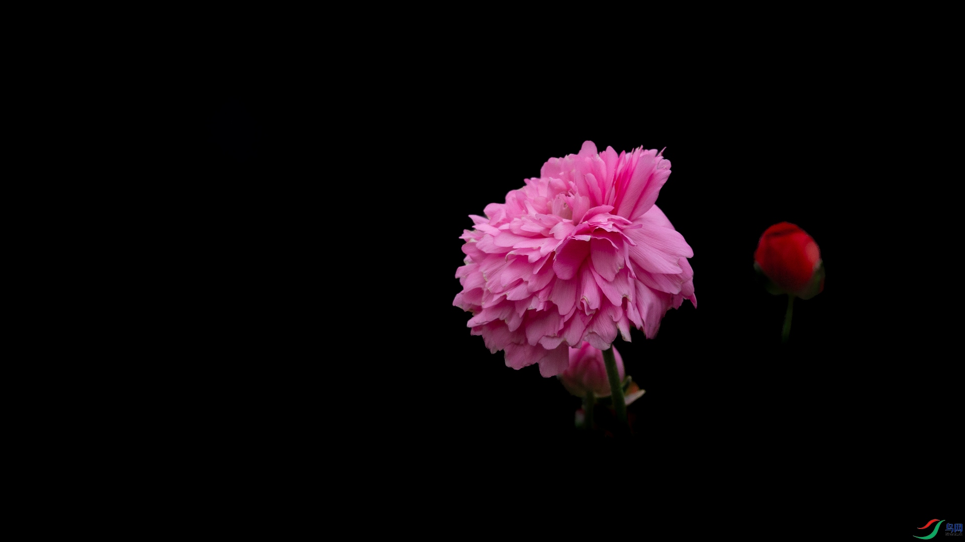 A48Z5982.jpg