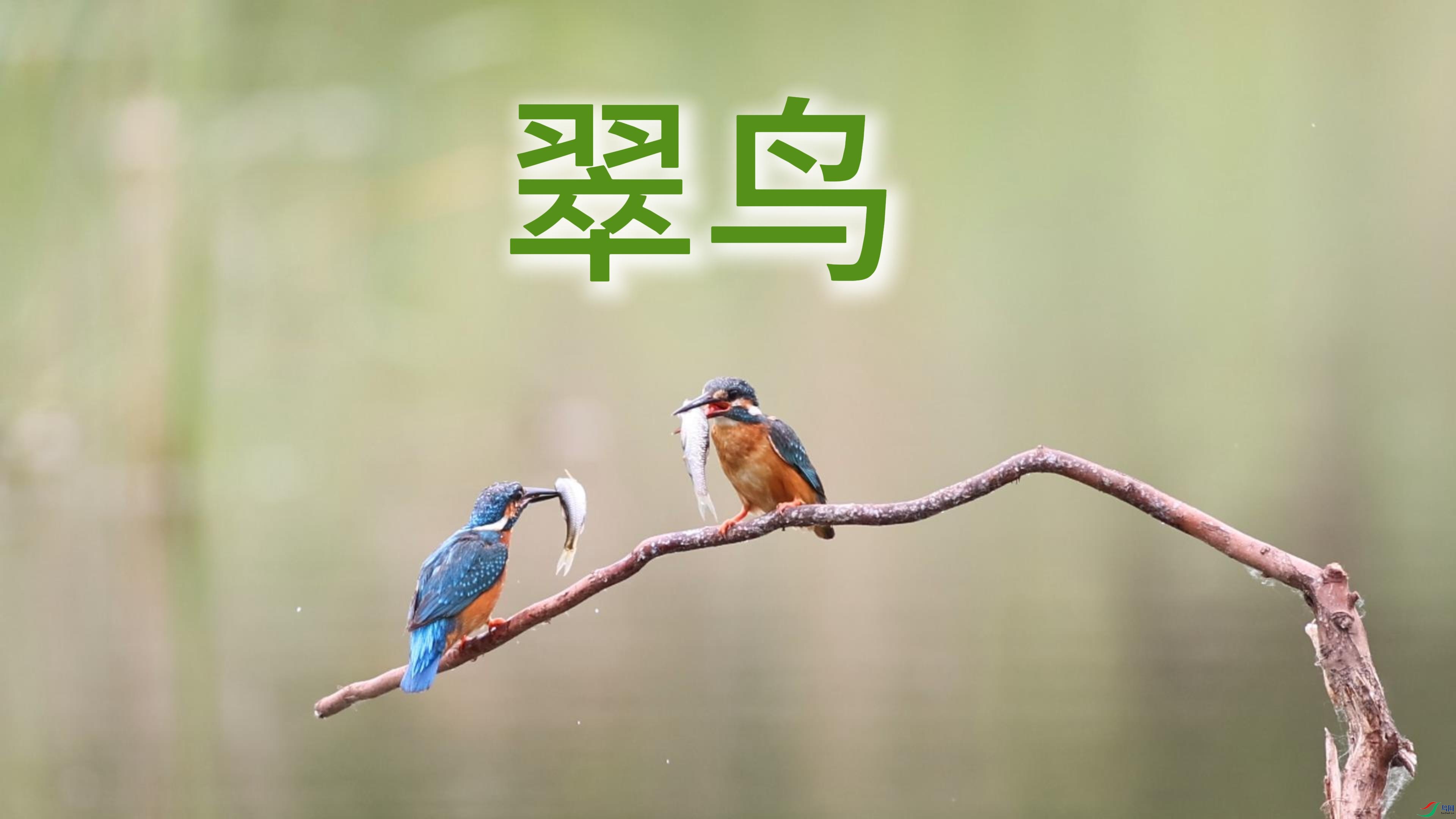 6��19�� (2)-����.jpg