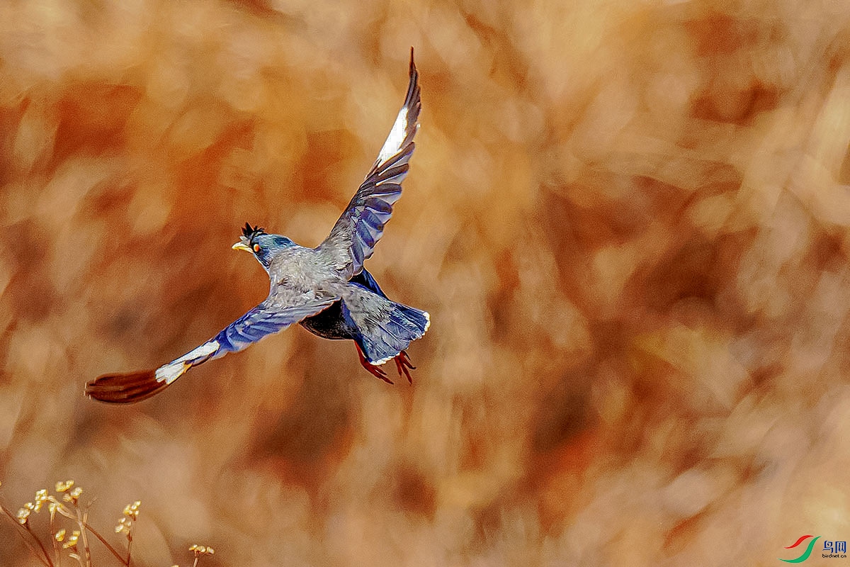 DSC_3391.jpg