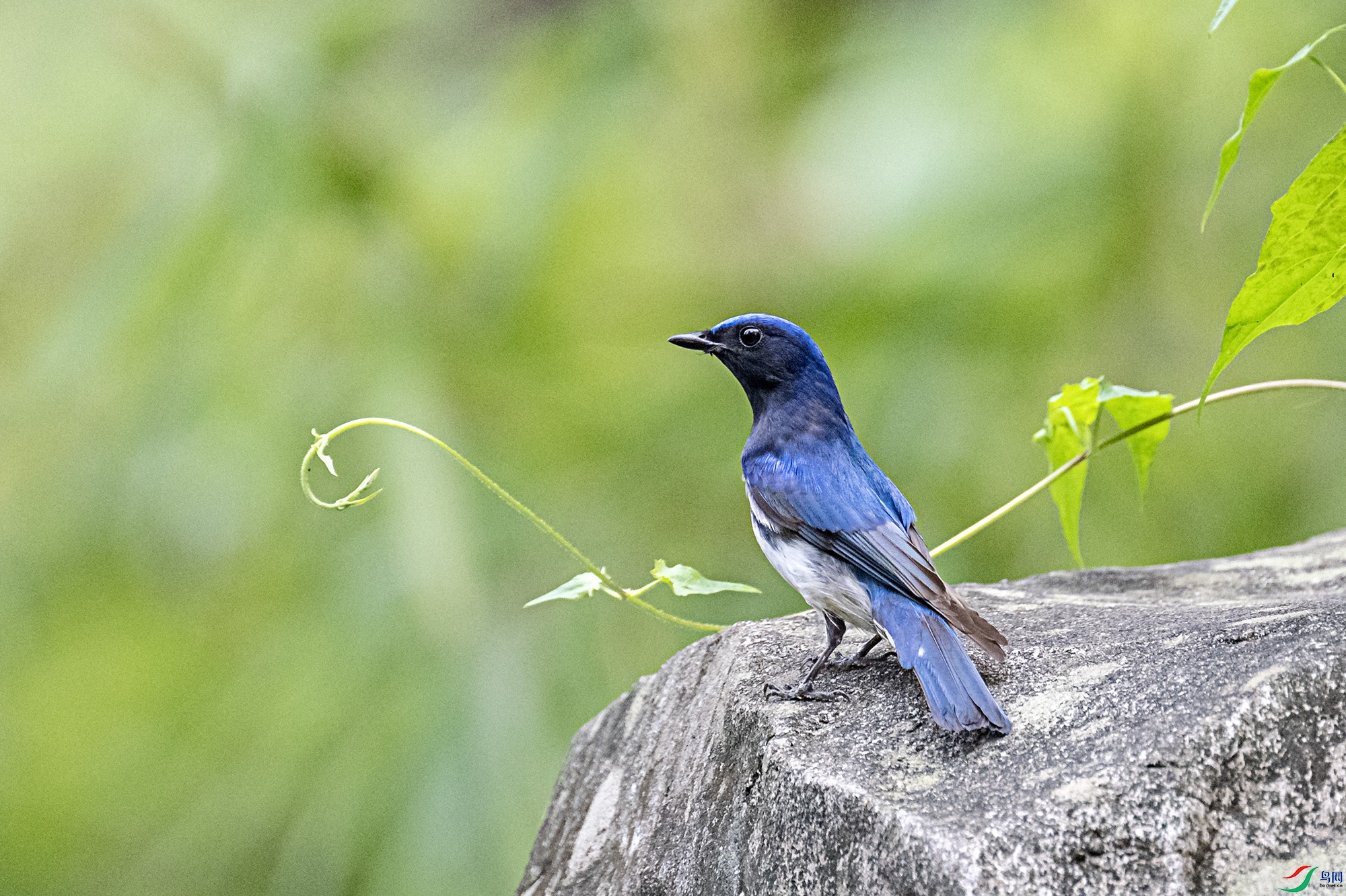 DSC_7255.jpg