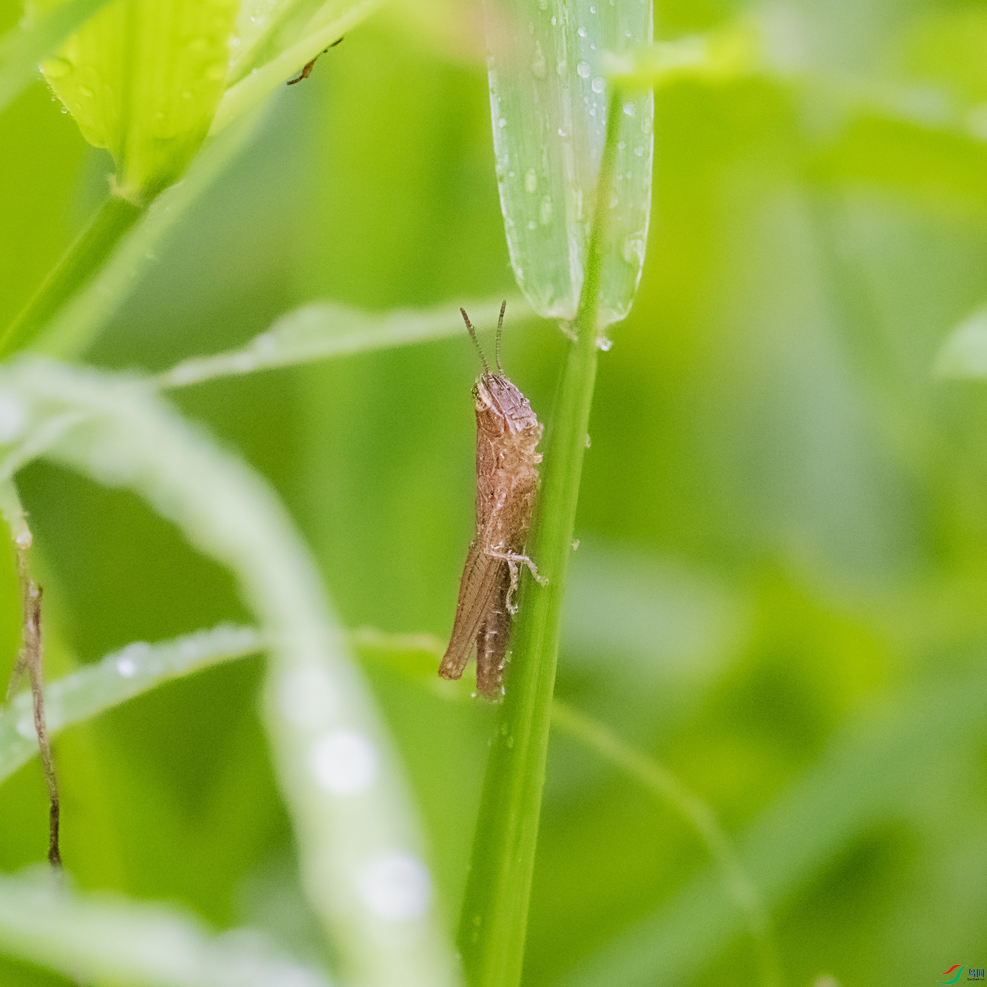 DSC_4273.jpg
