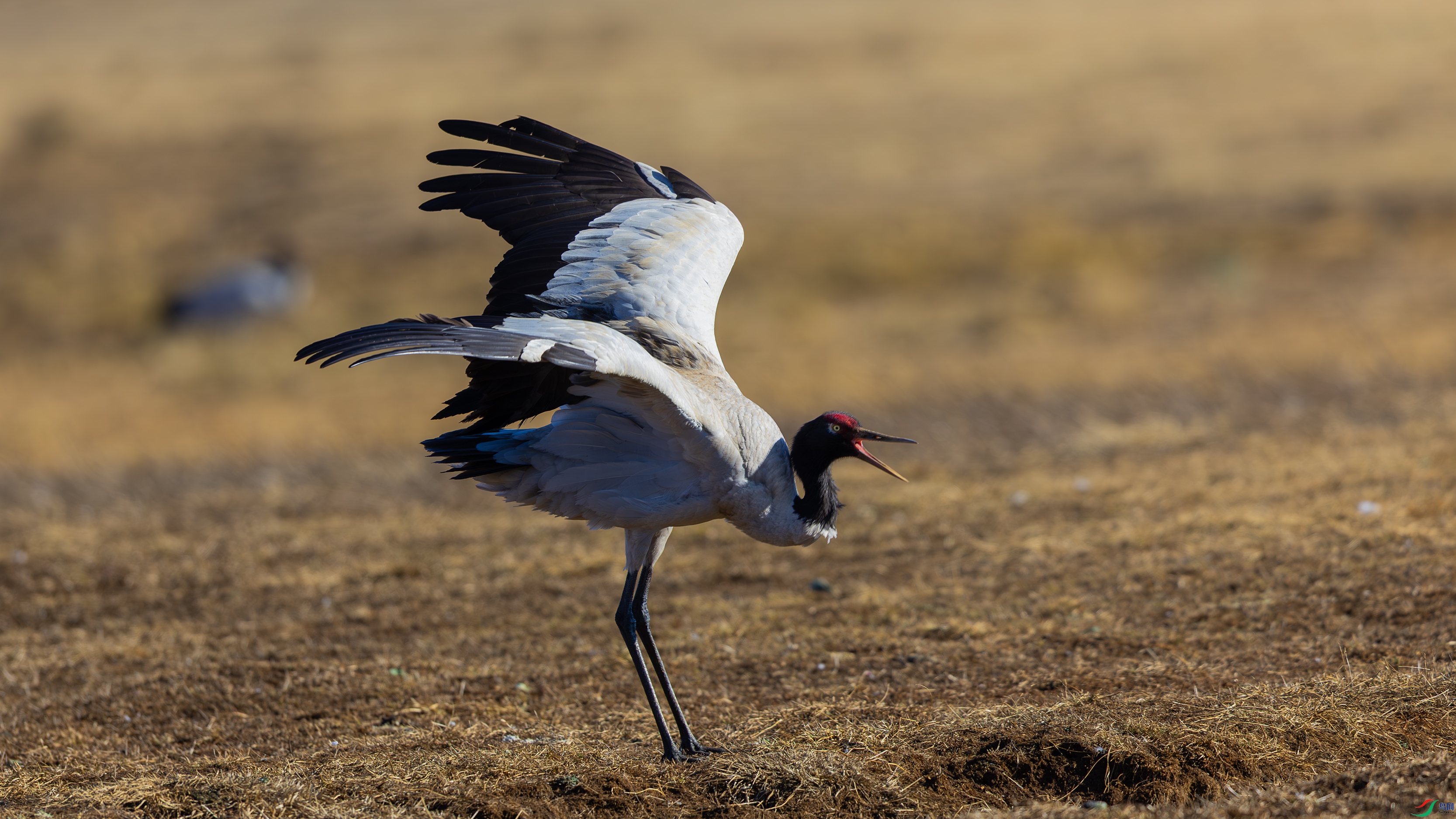 _O7A0133-3221.jpg