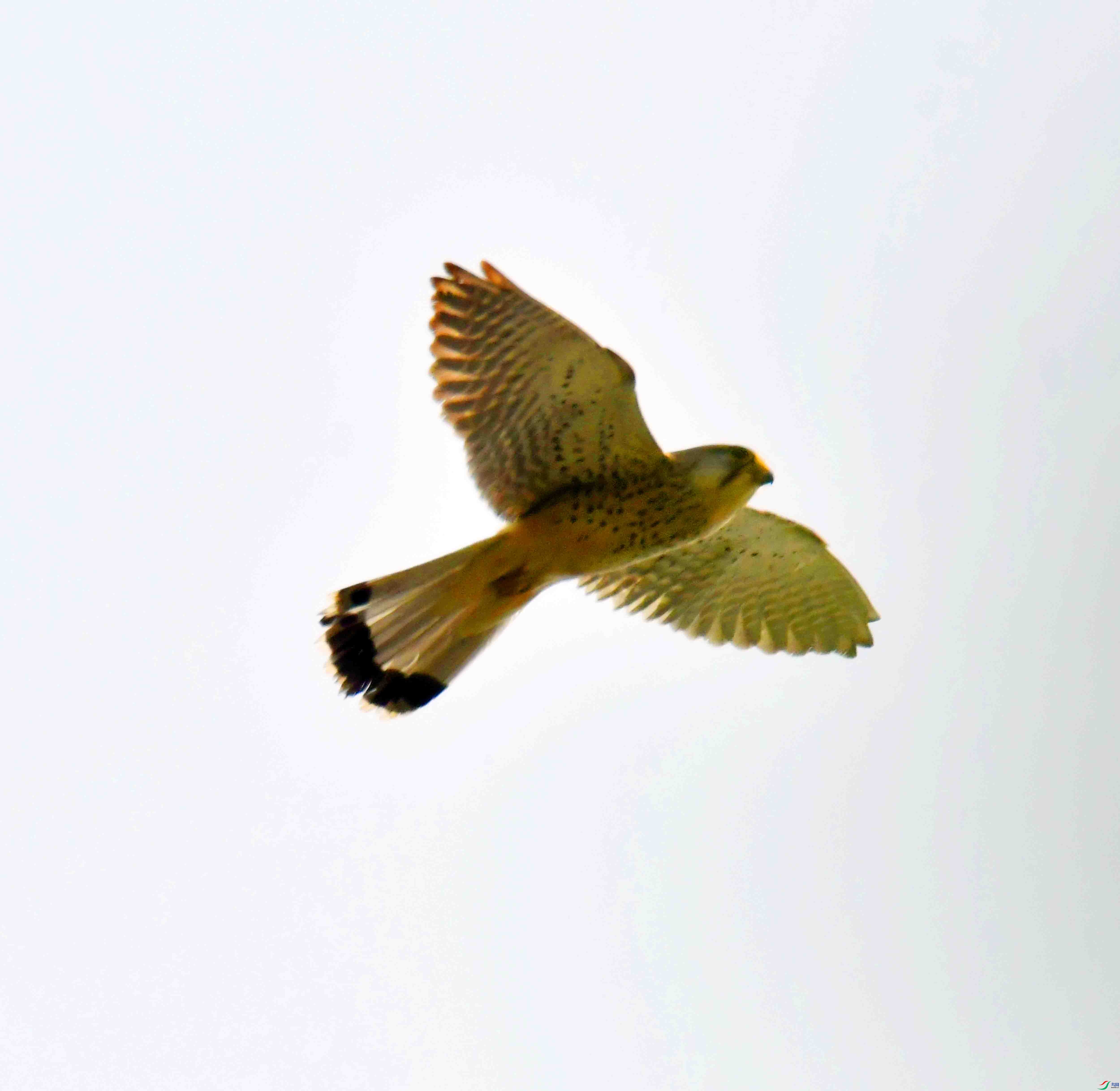 DSC_5344.JPG