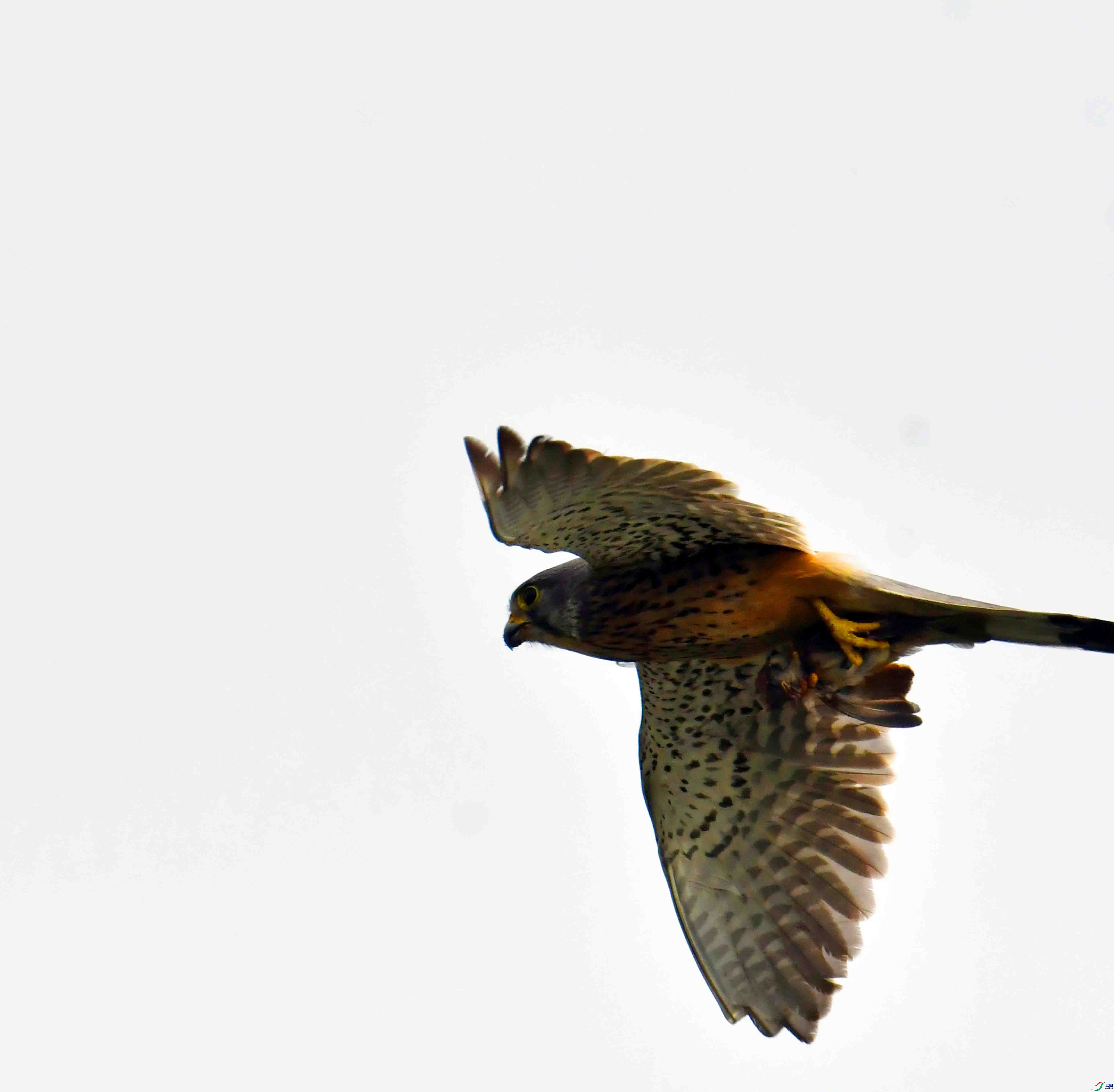 DSC_7201.JPG