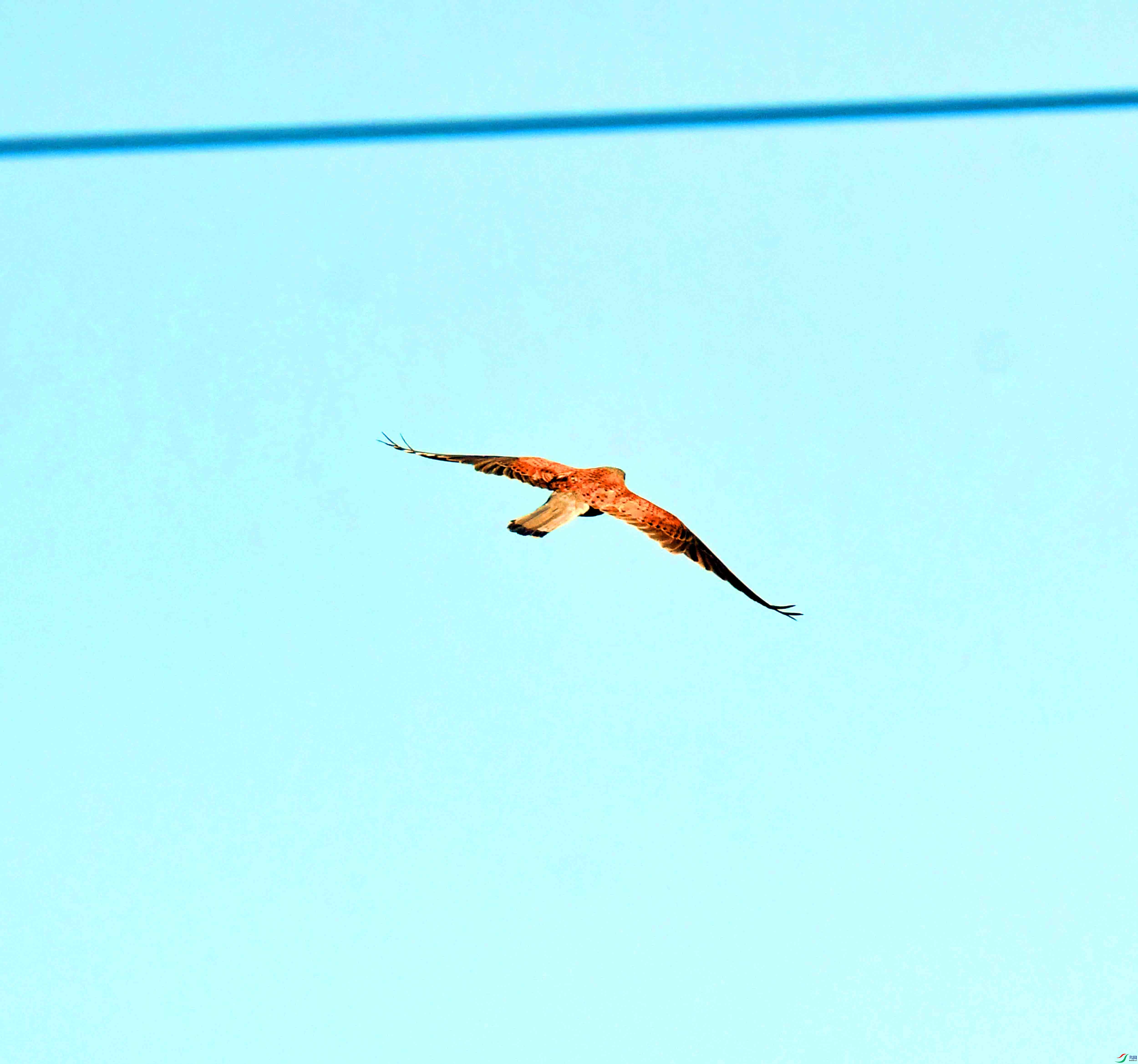 DSC_8591.JPG