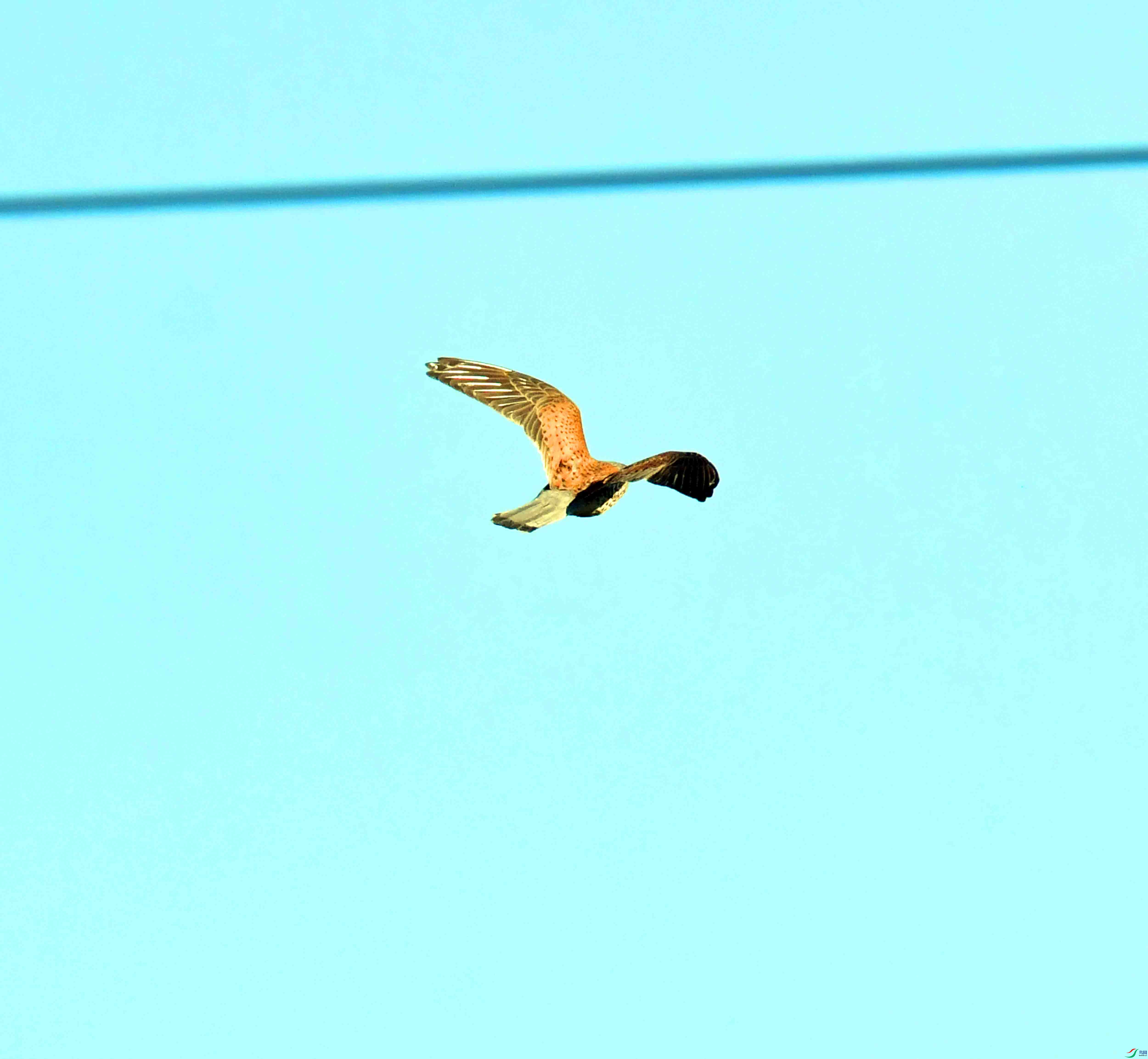DSC_8592.JPG