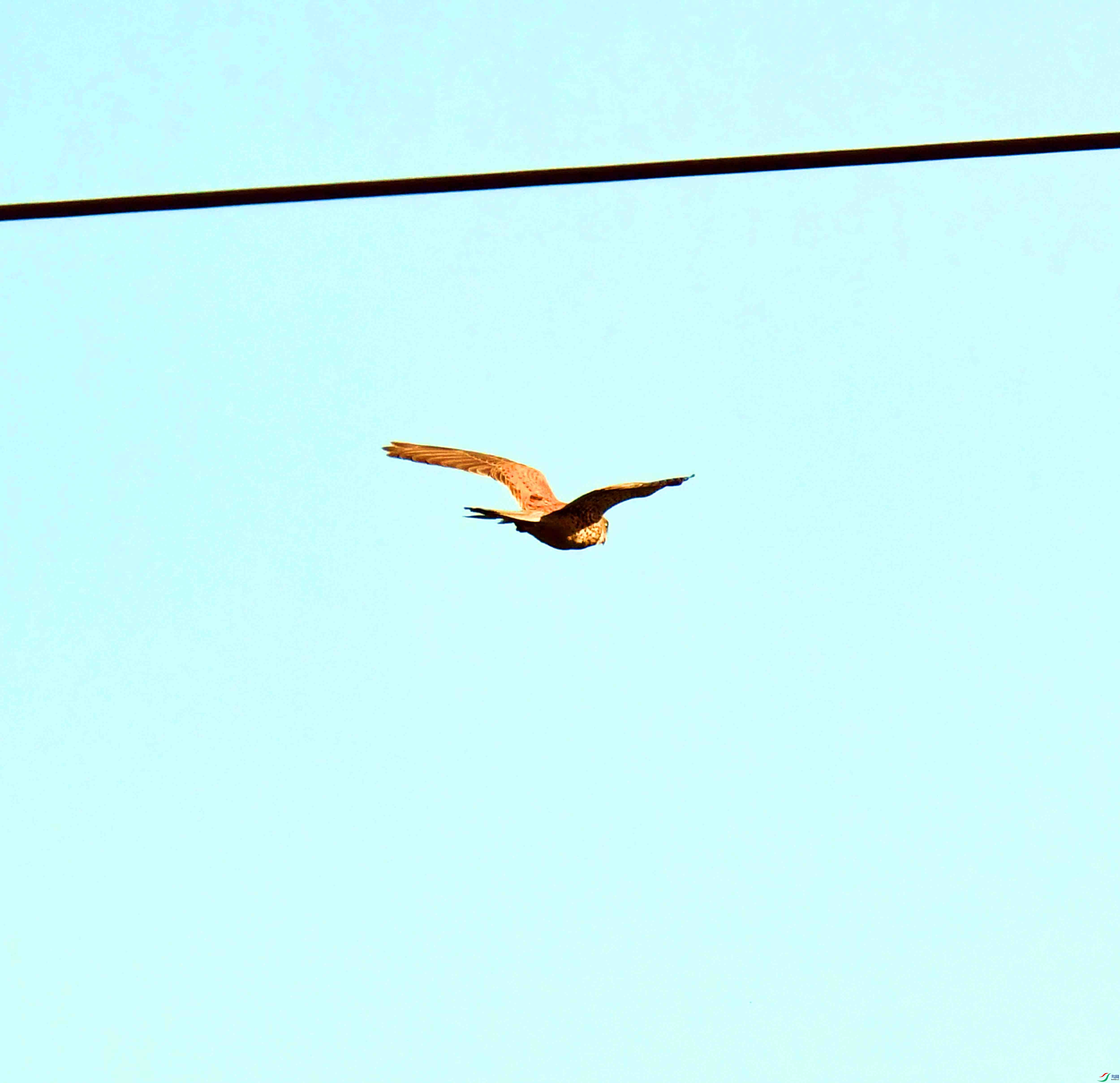 DSC_8597.JPG