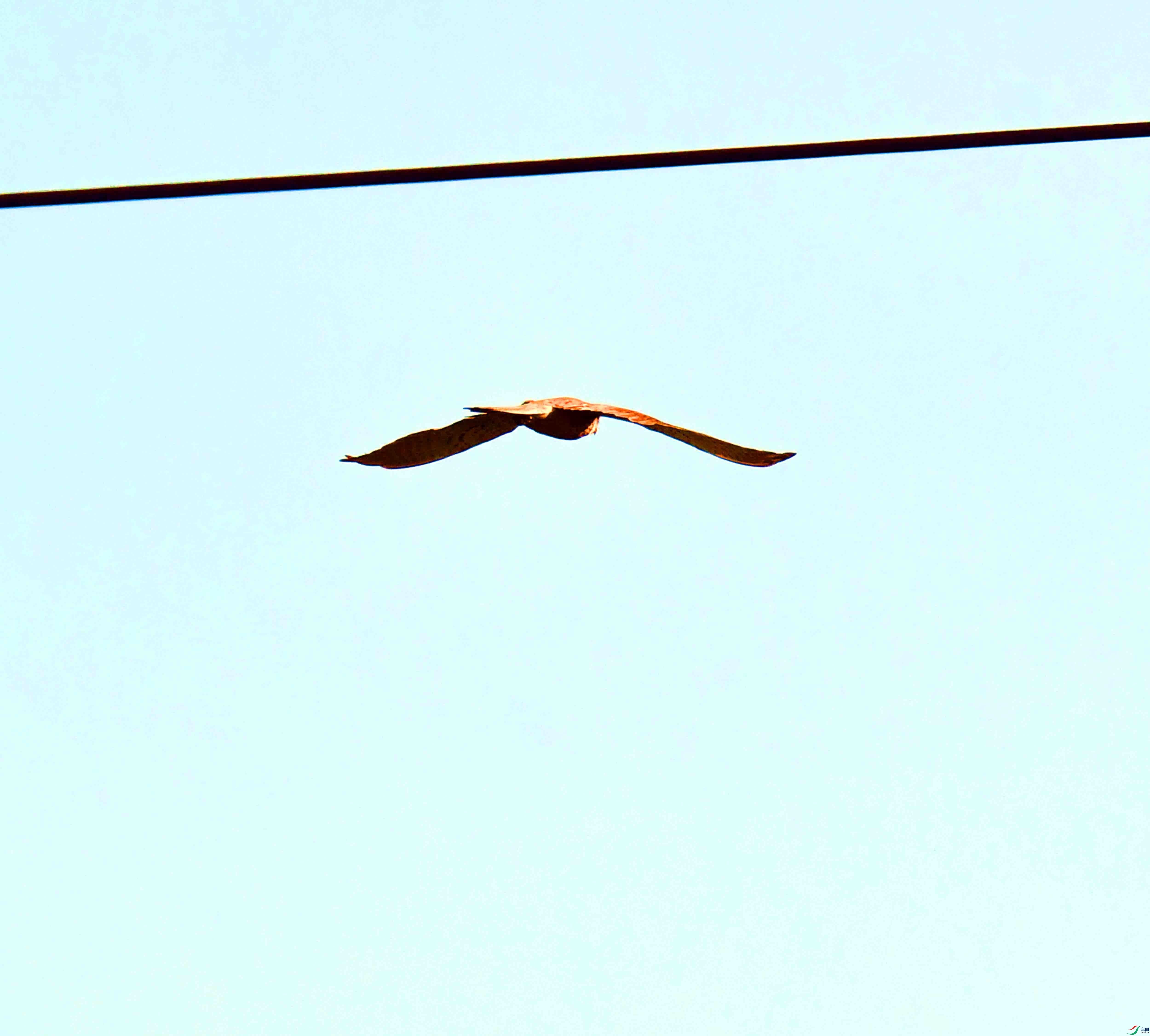 DSC_8596.JPG