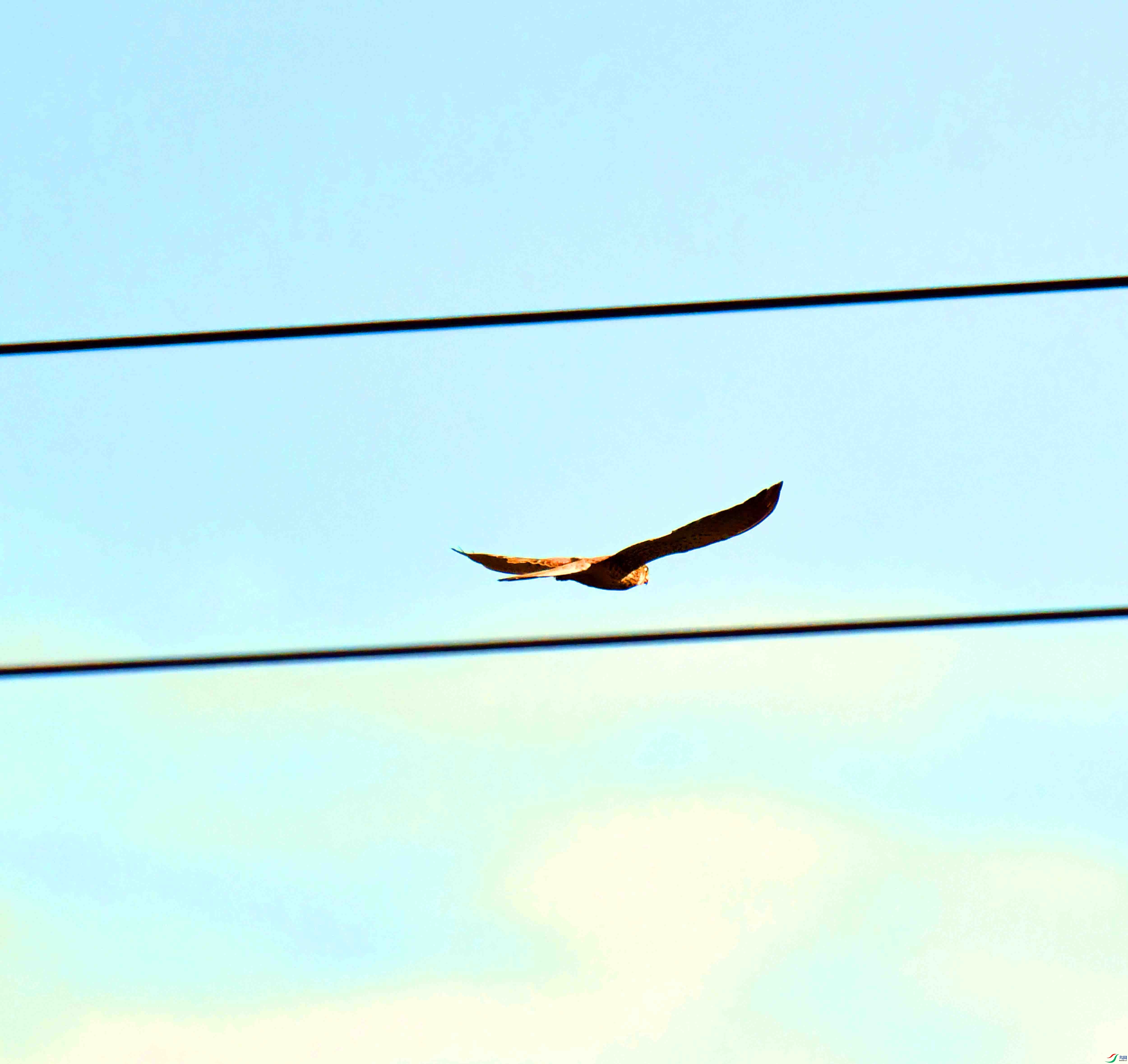 DSC_8593.JPG