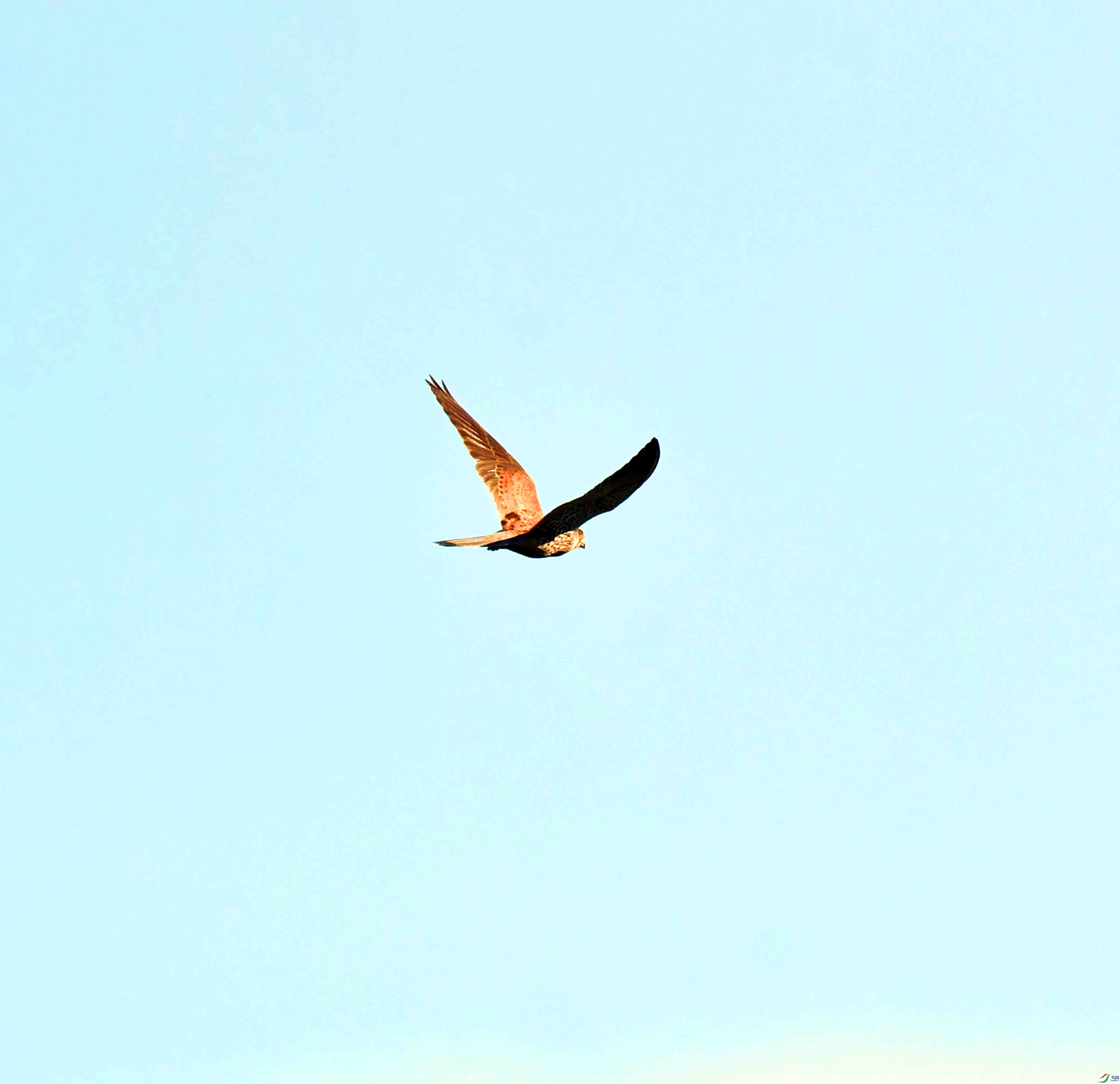 DSC_8599.JPG