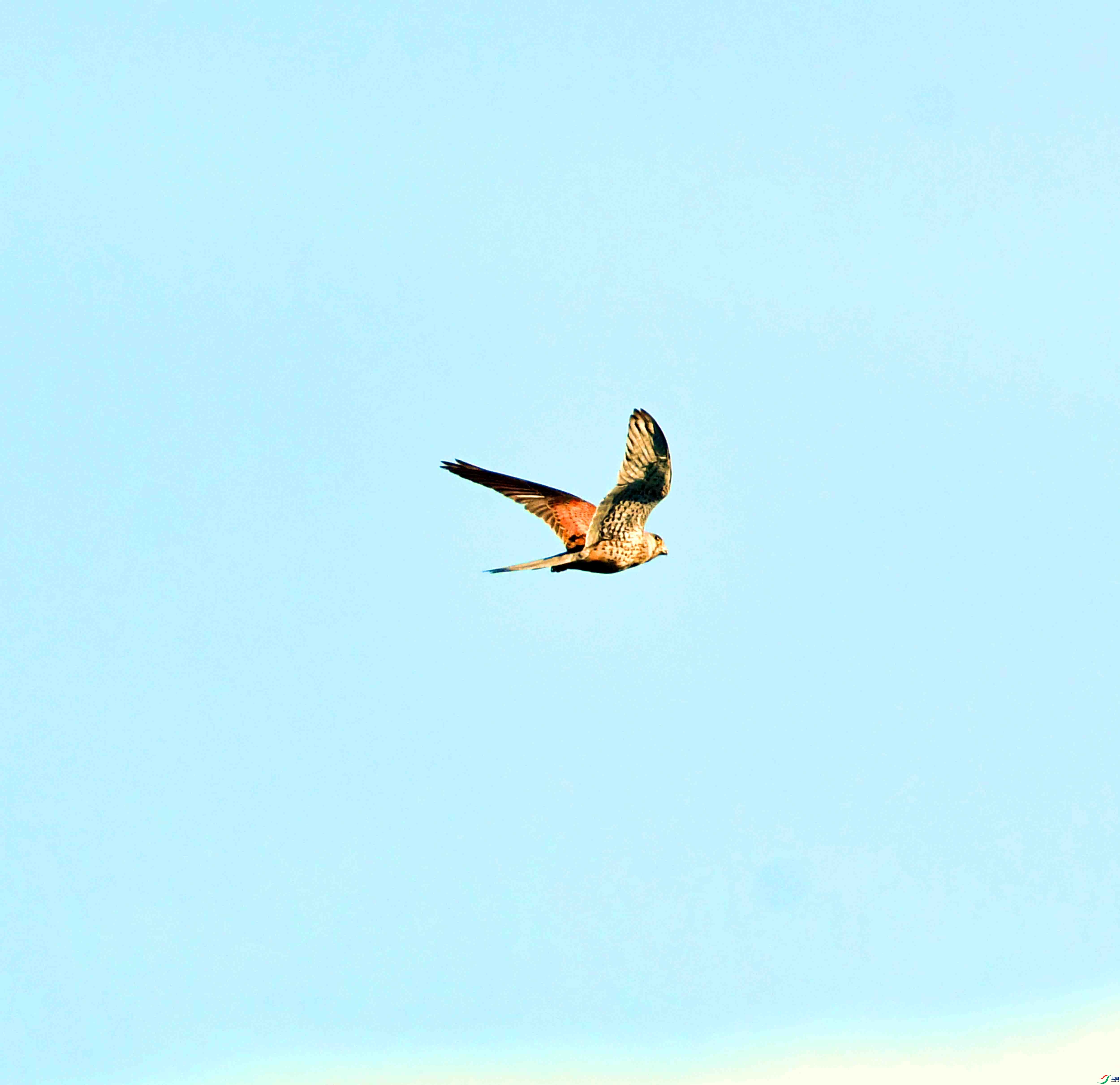 DSC_8601.JPG