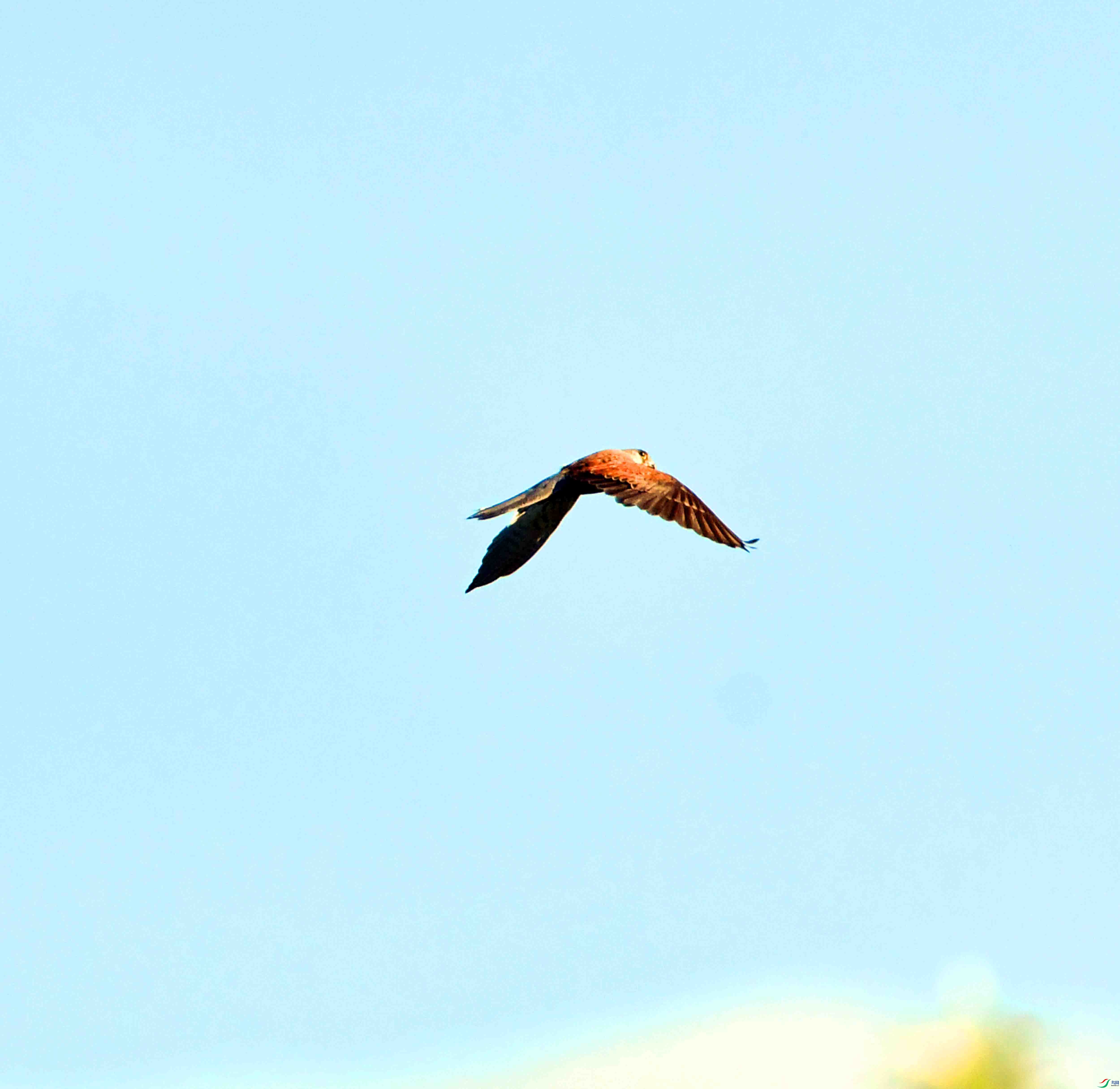 DSC_8602.JPG