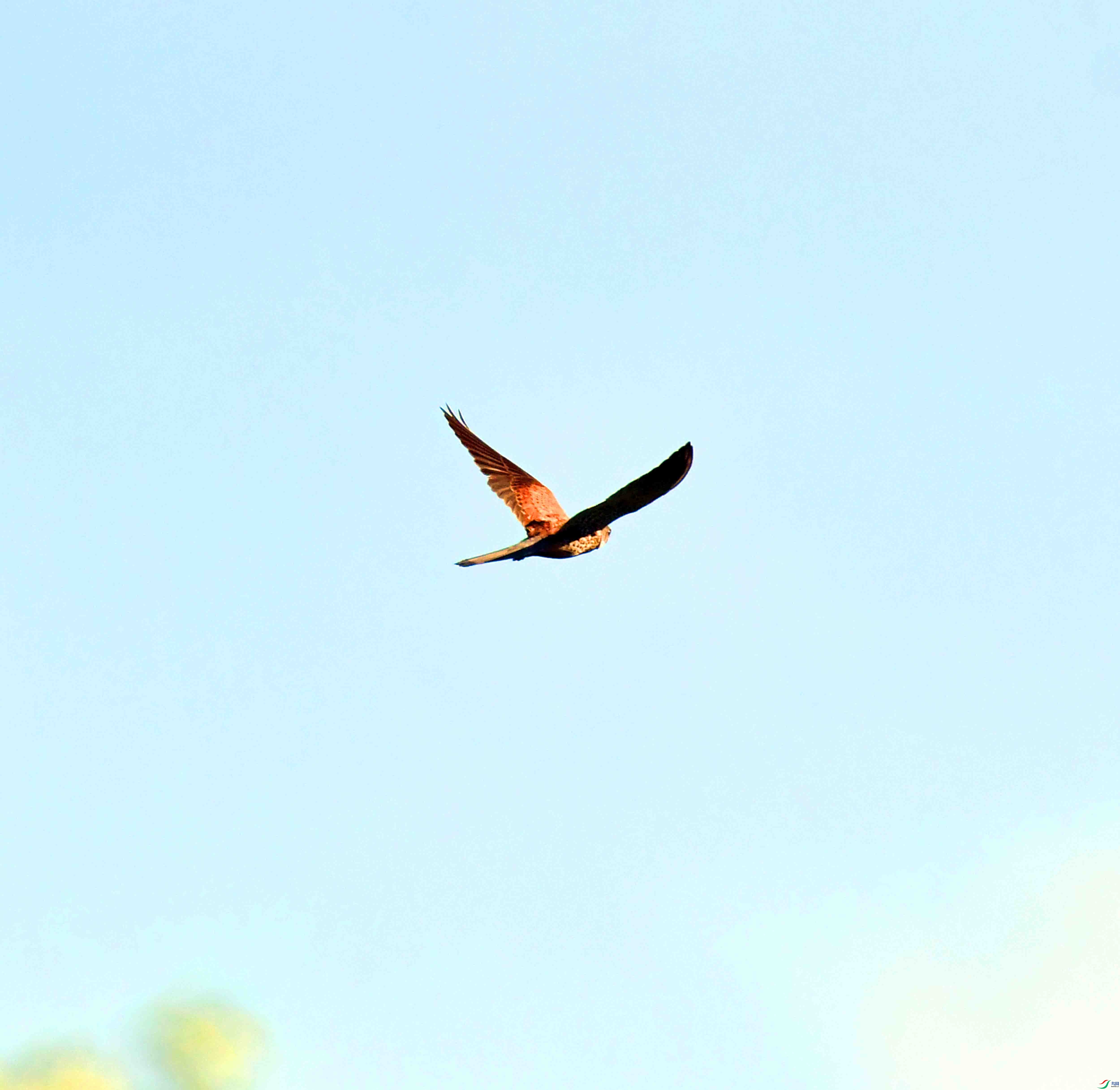 DSC_8605.JPG