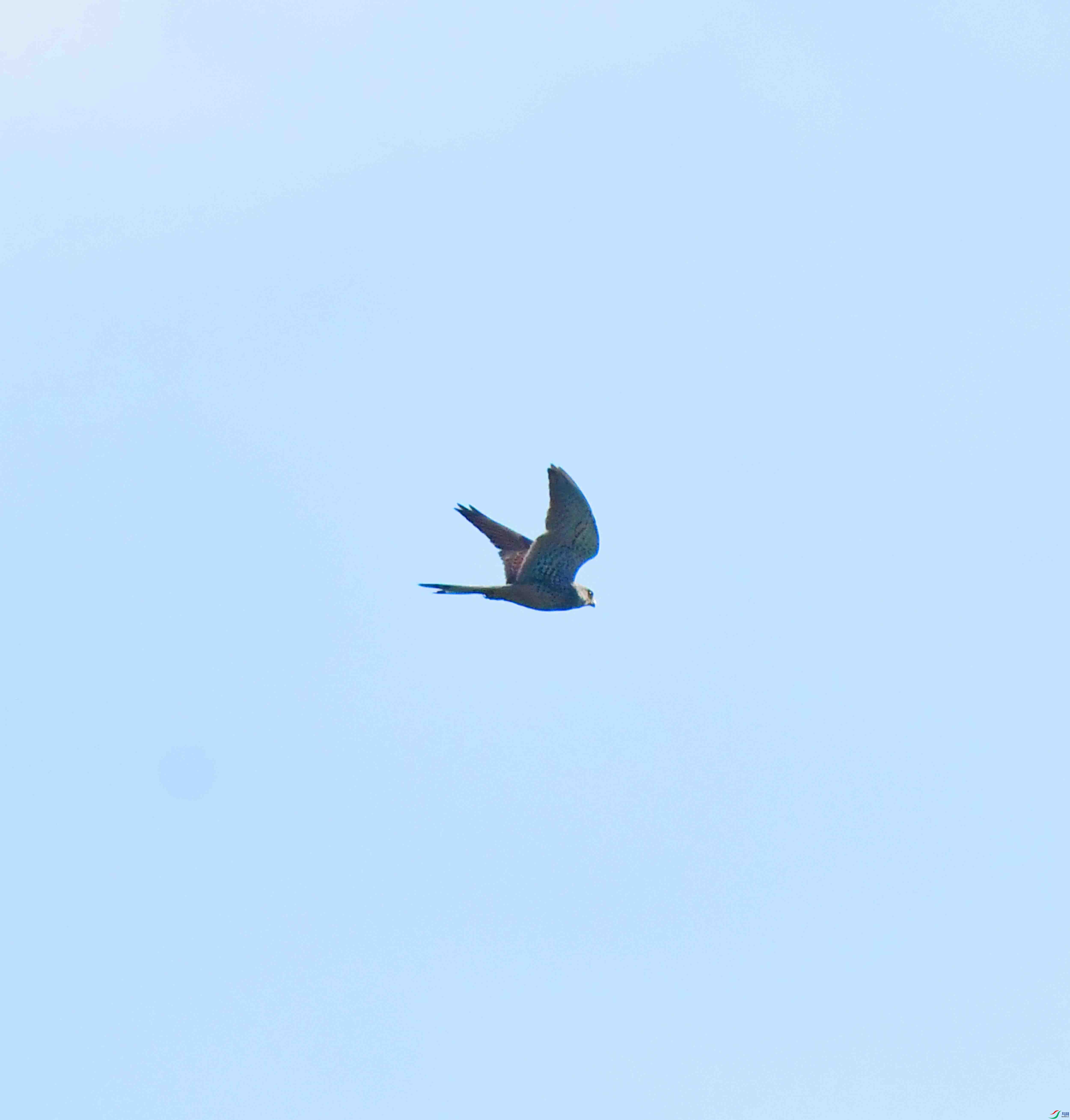 DSC_8629.JPG
