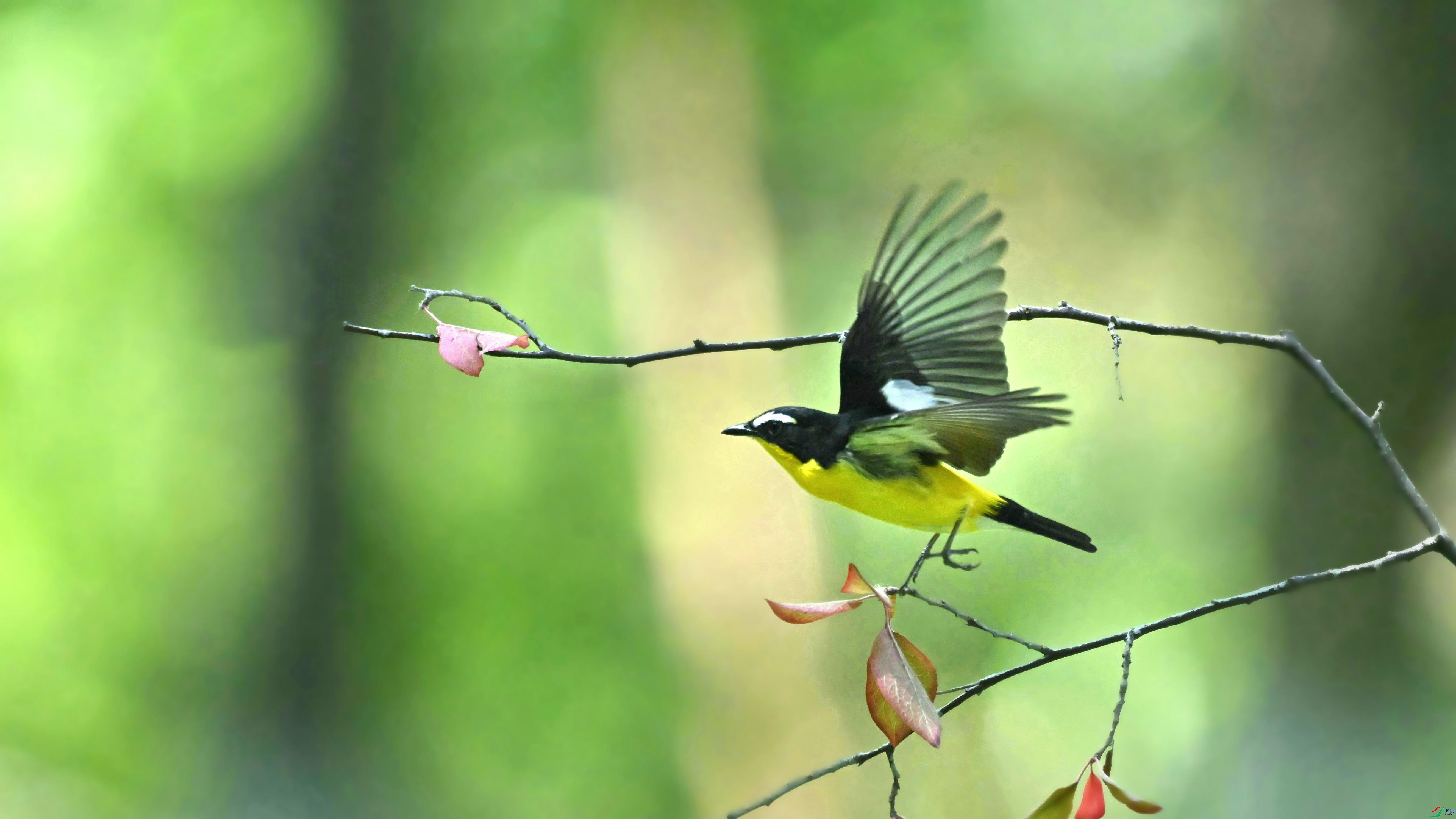 DSC_5905.JPG