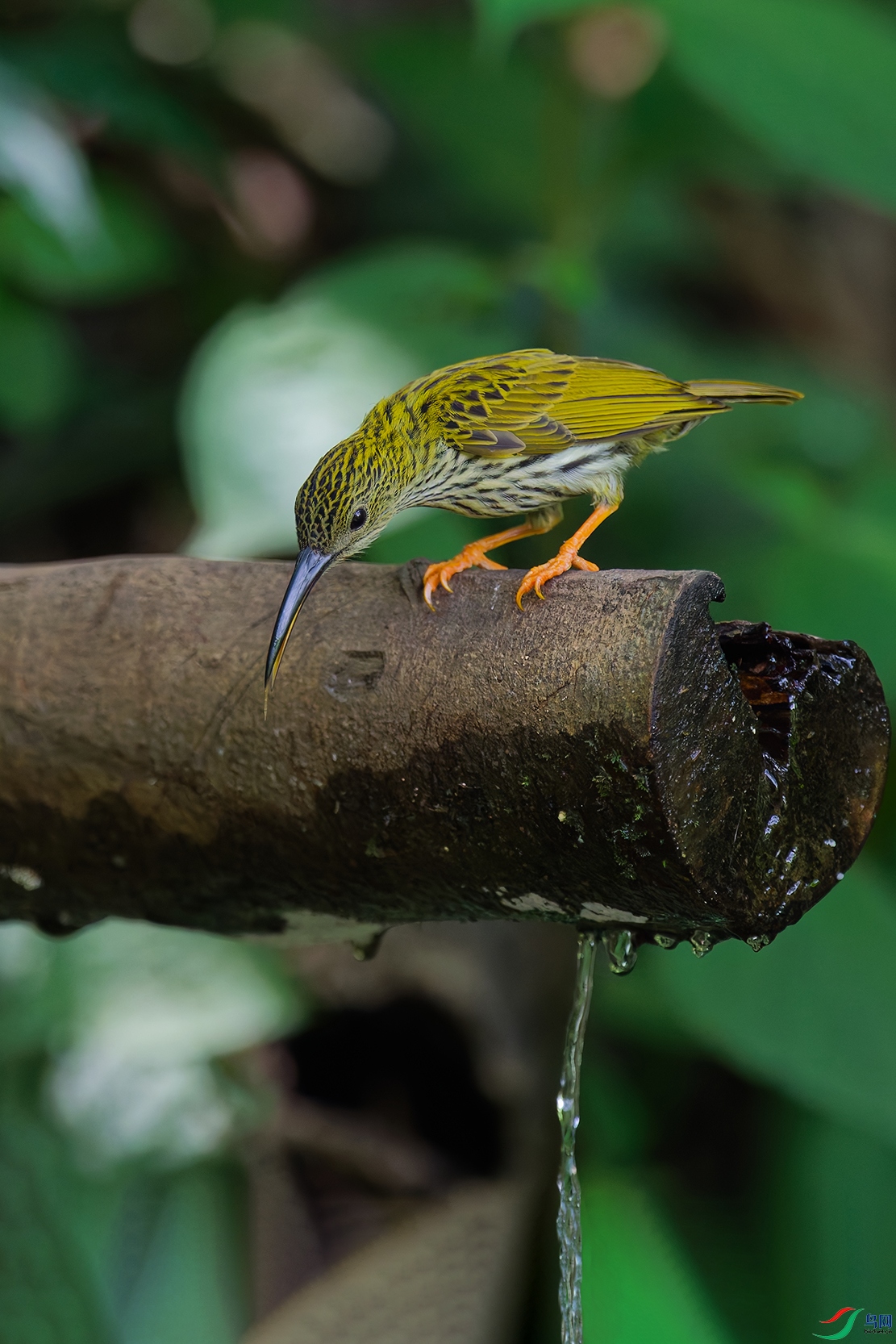 DSC_0658_DxO_DxOaa.jpg