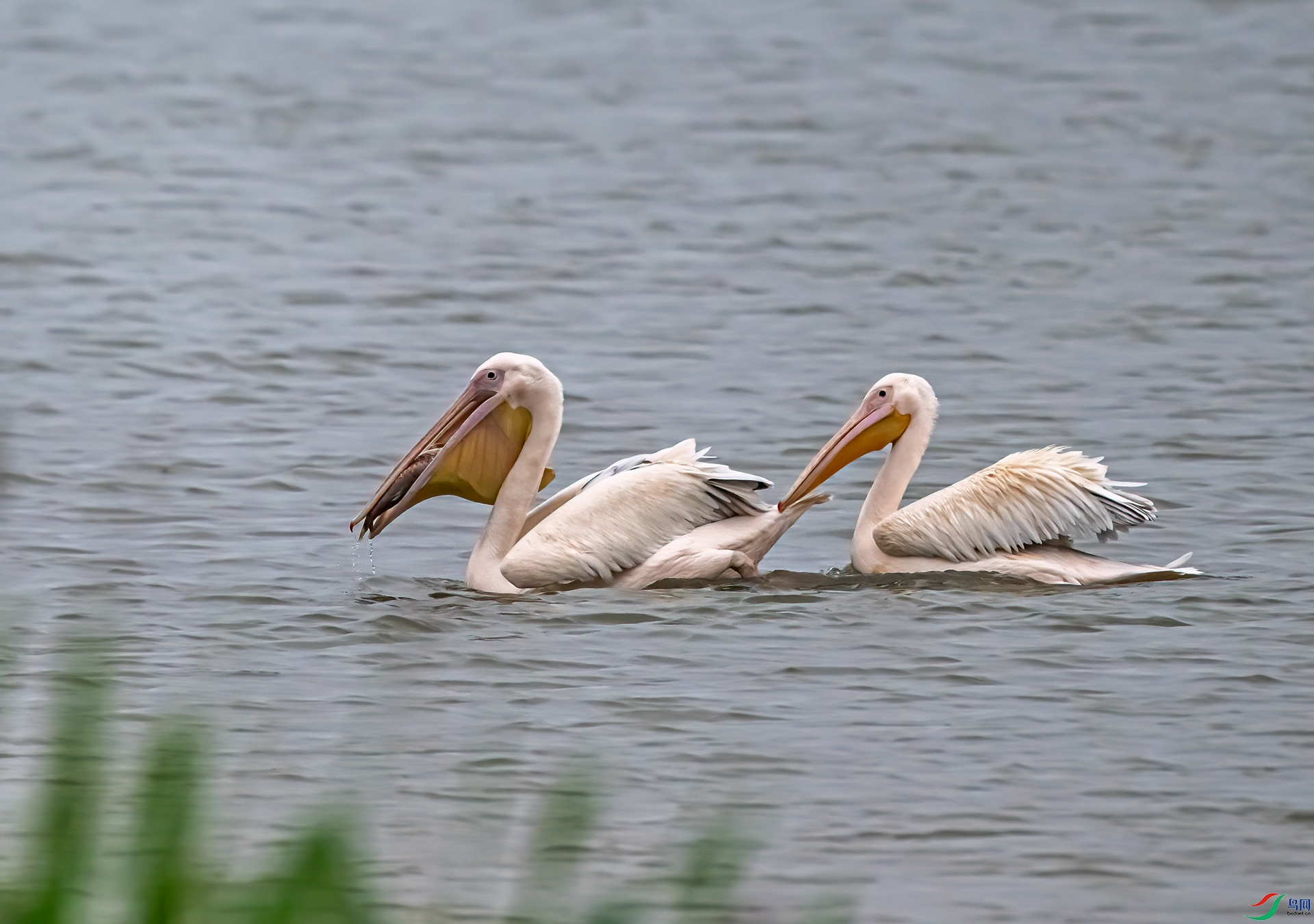 DSC_9851-11.jpg