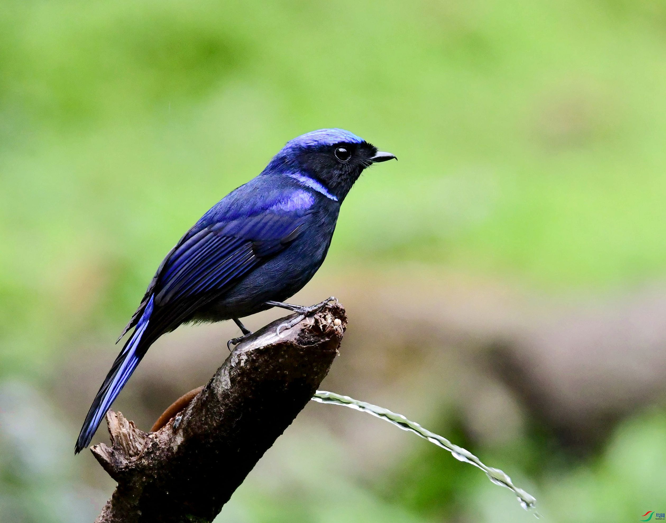 DSC_2382_����.jpg
