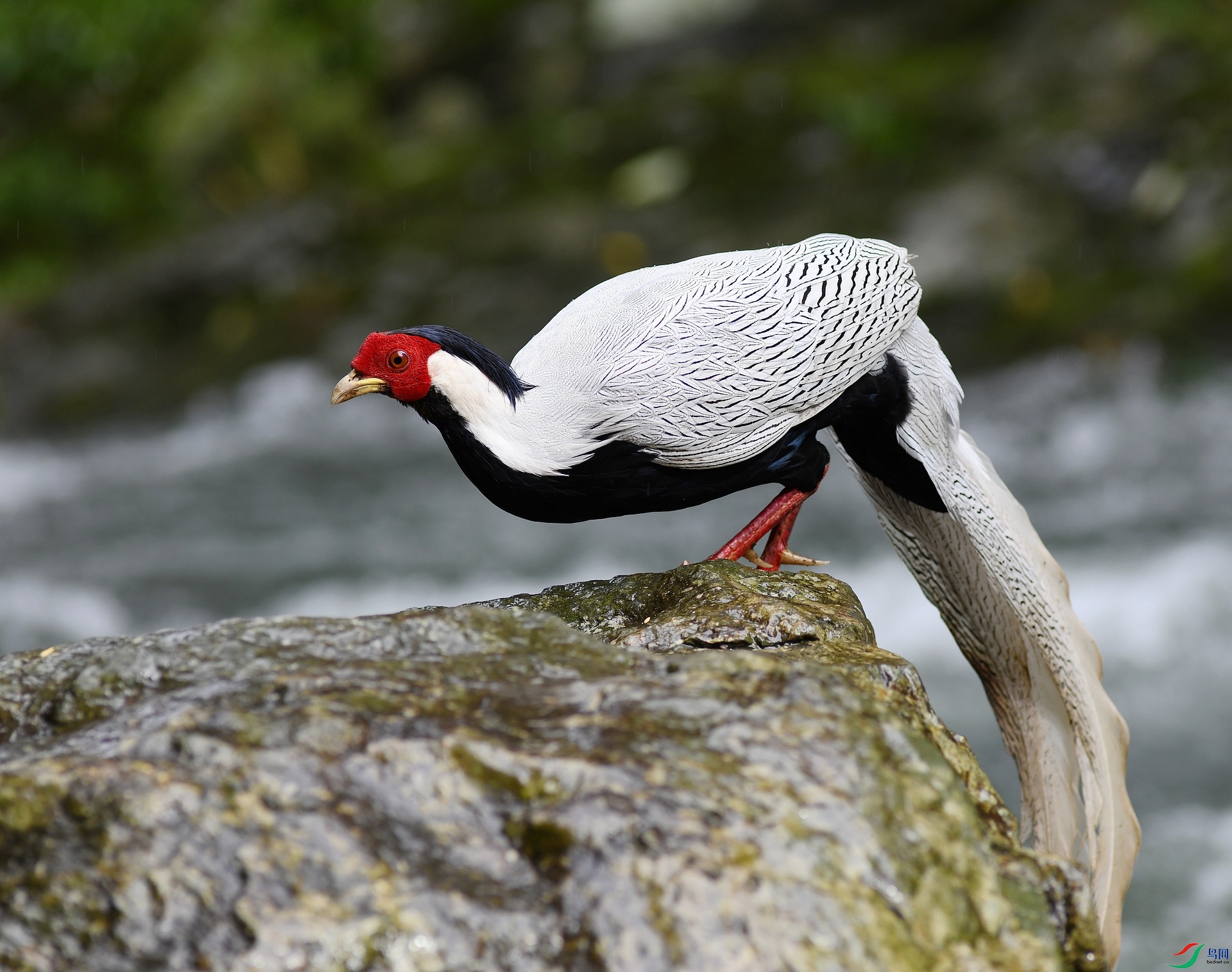 DSC_4351.jpg