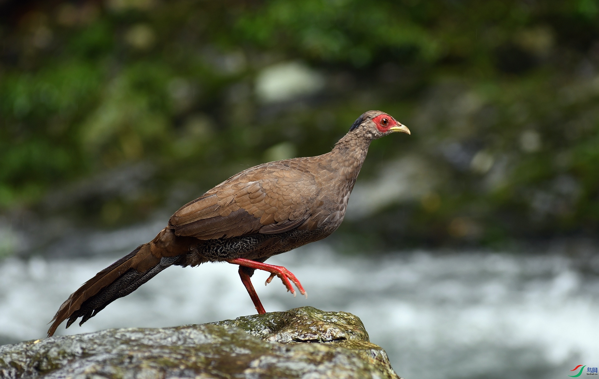 DSC_4329.jpg