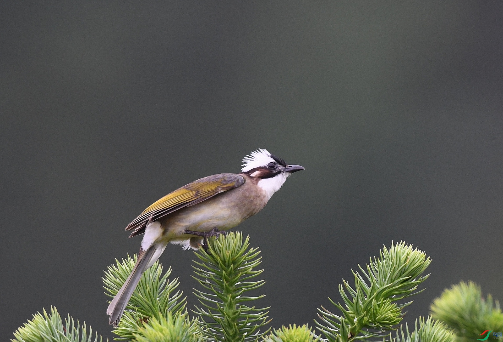 DSC_3548.jpg