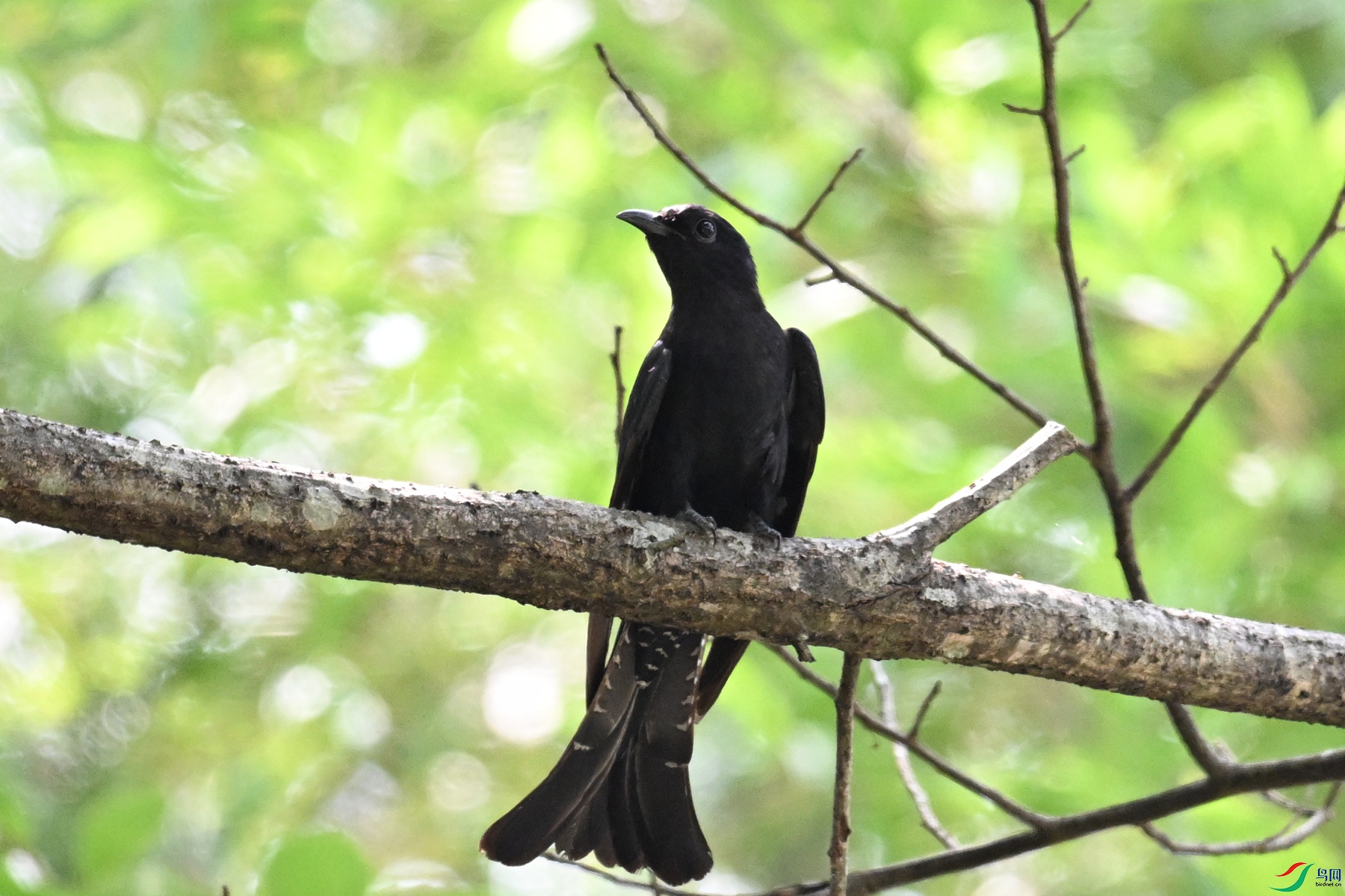 DSC_0758.JPG
