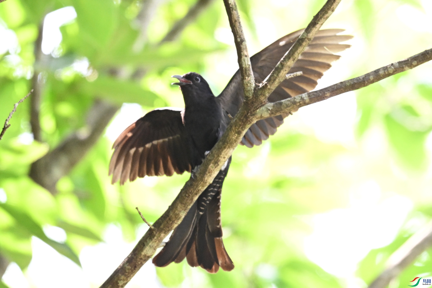DSC_0814.JPG