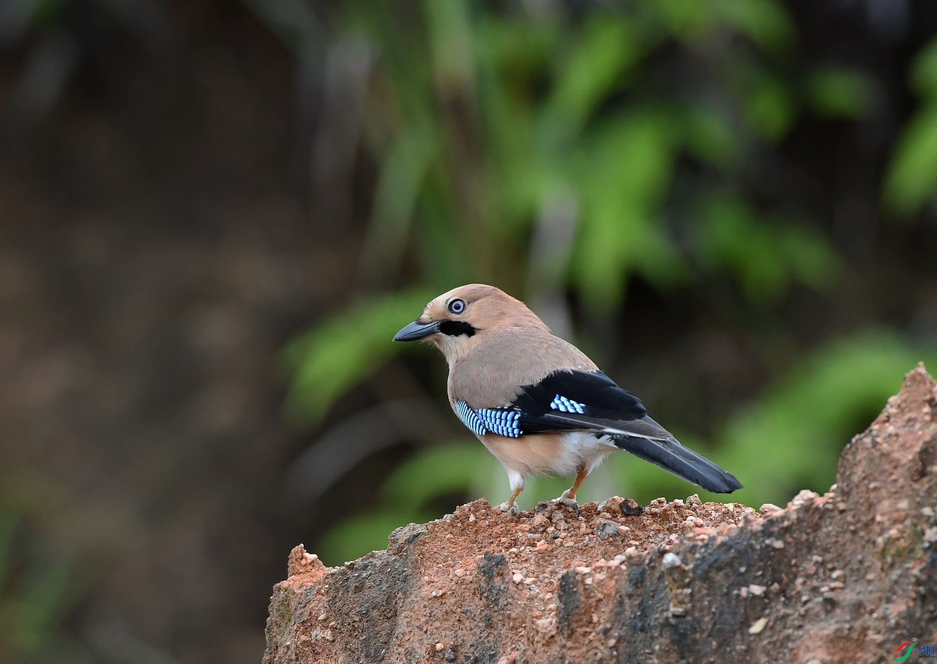DSC_0211.jpg