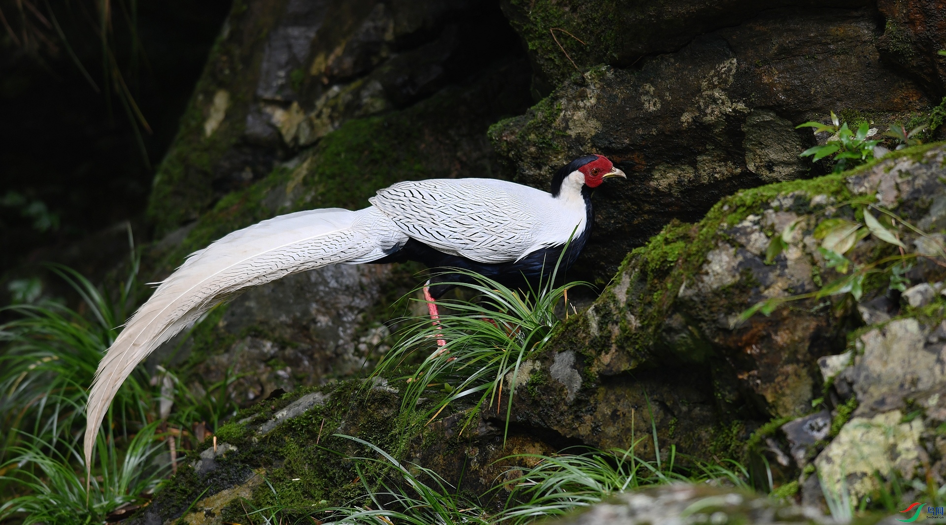 DSC_1076.jpg