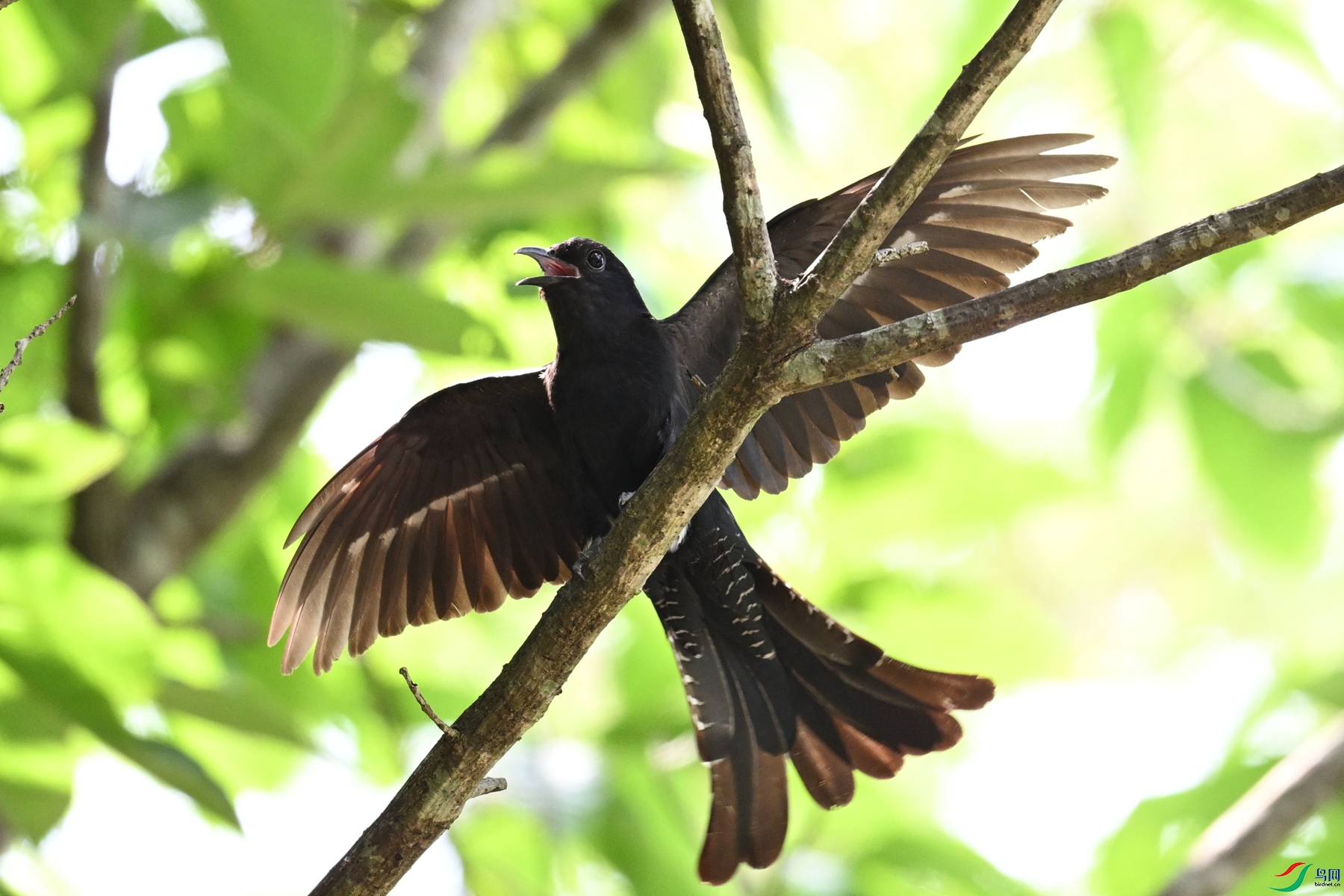 DSC_0818.JPG