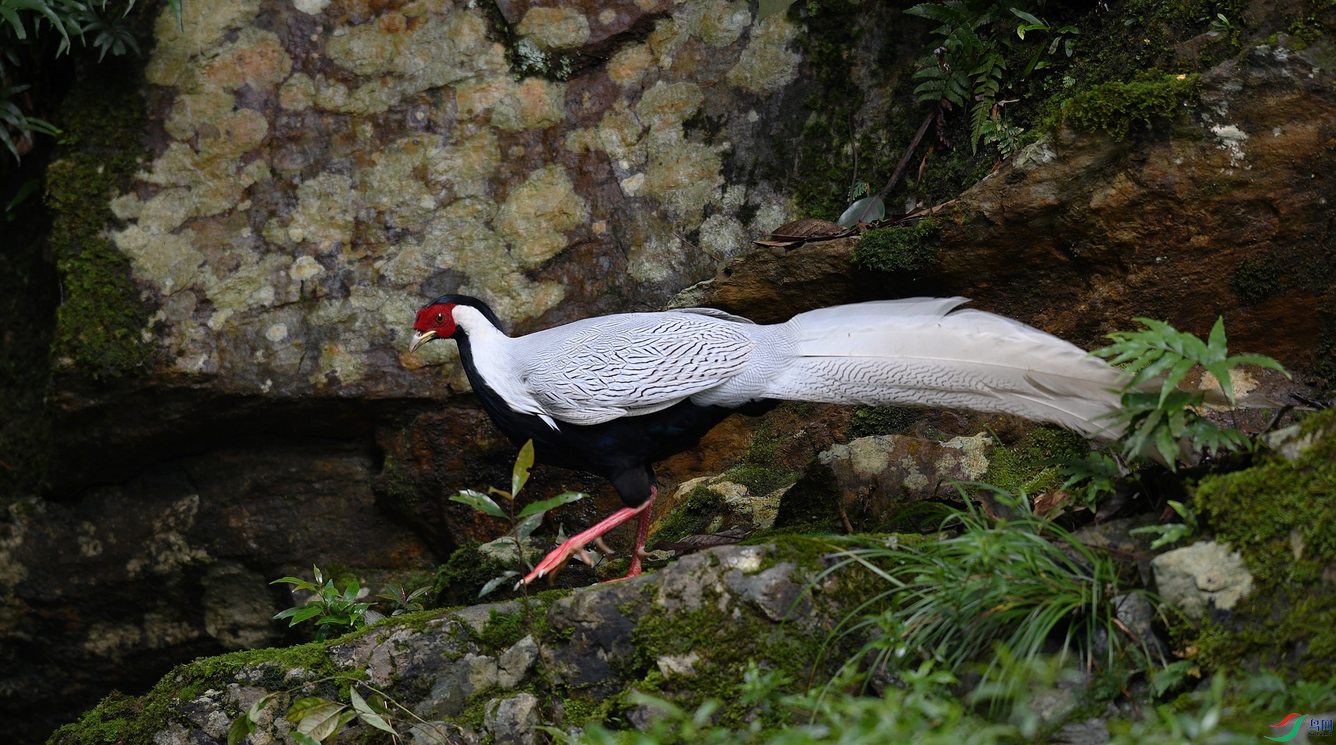 DSC_1114.jpg