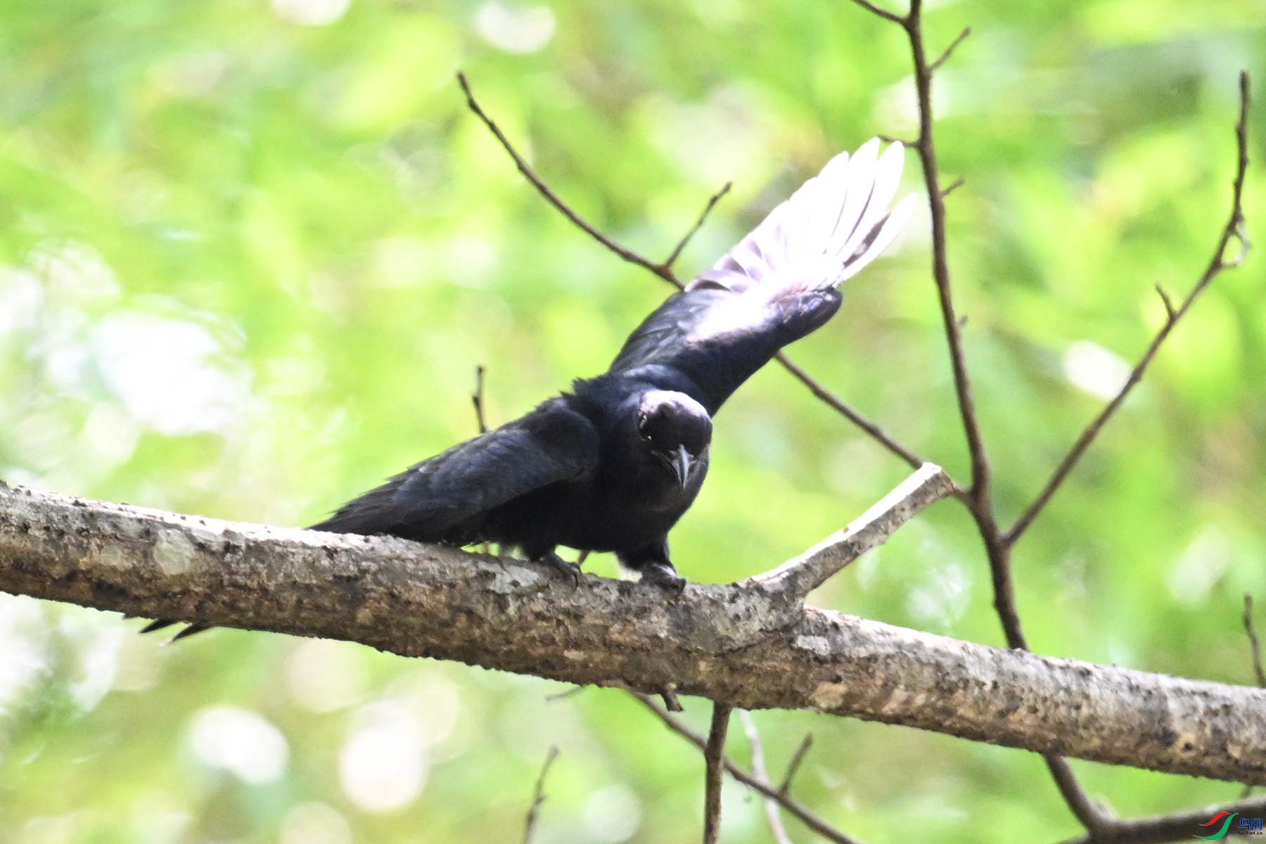 DSC_0755.JPG