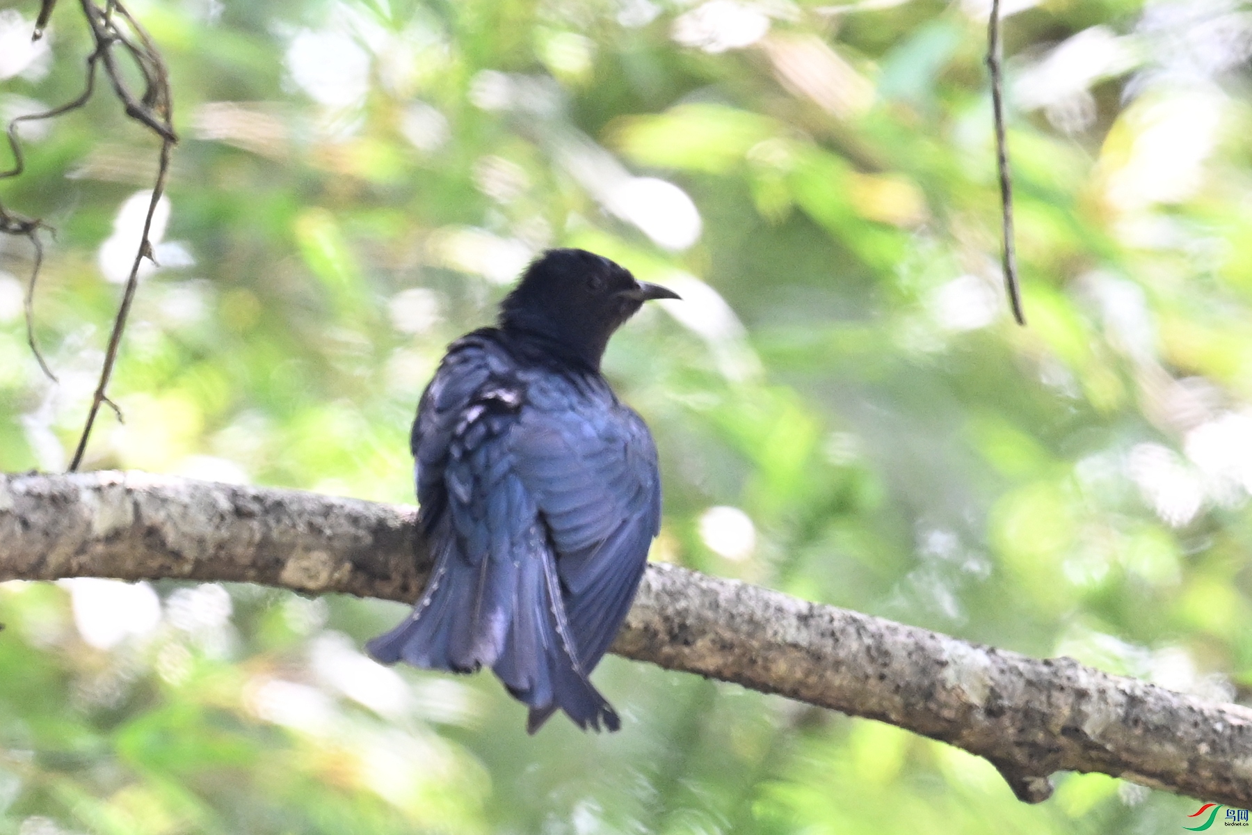 DSC_0798.JPG