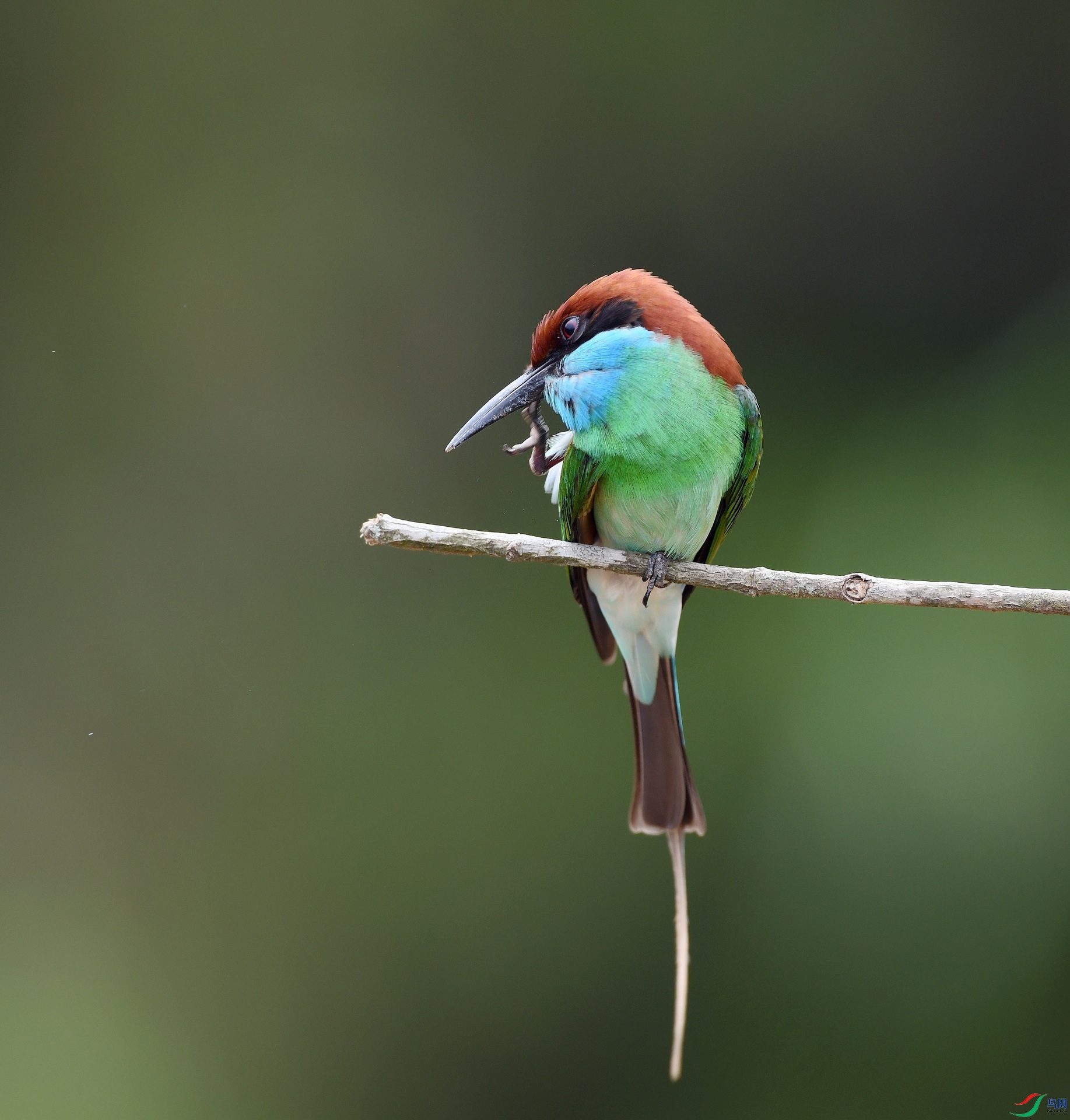 DSC_0782.jpg