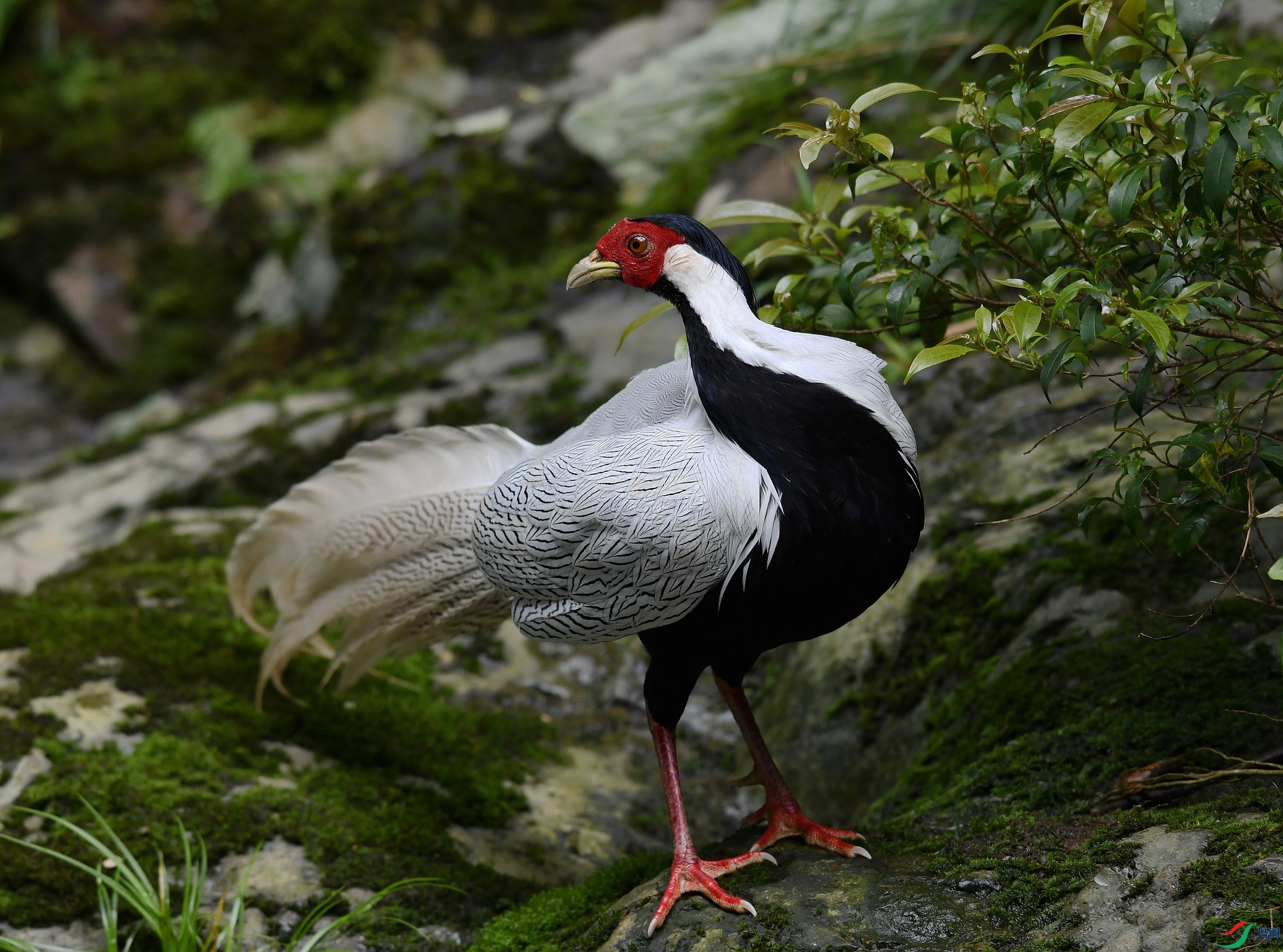 DSC_1145.jpg